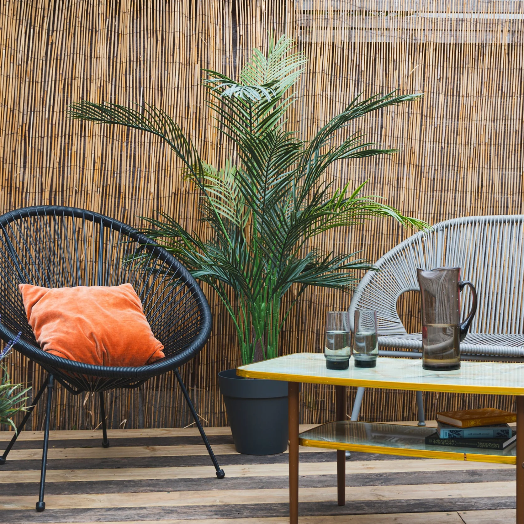 Areca palm - Image 3