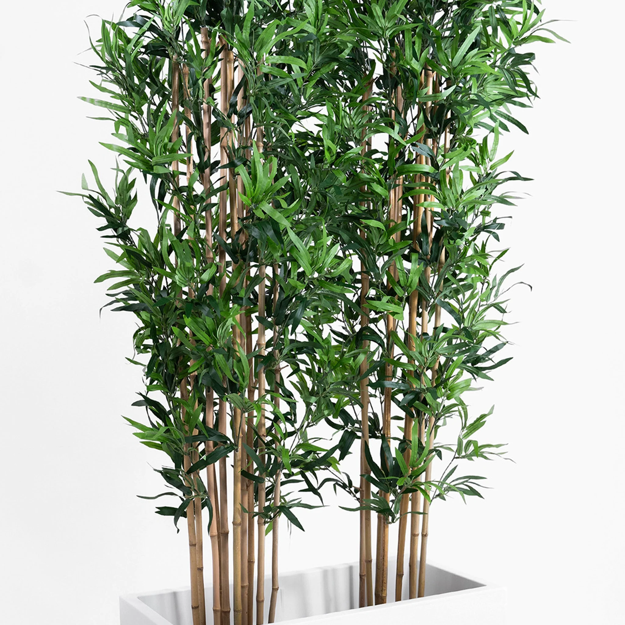 Oriental bamboo screening - Image 10
