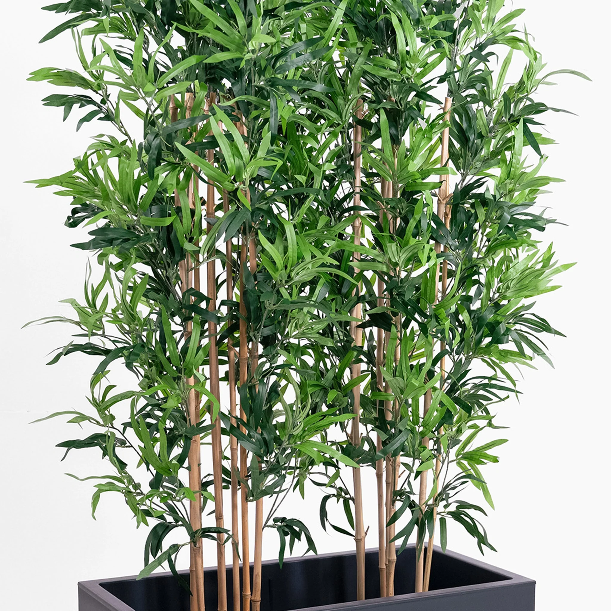 Oriental bamboo screening - Image 6