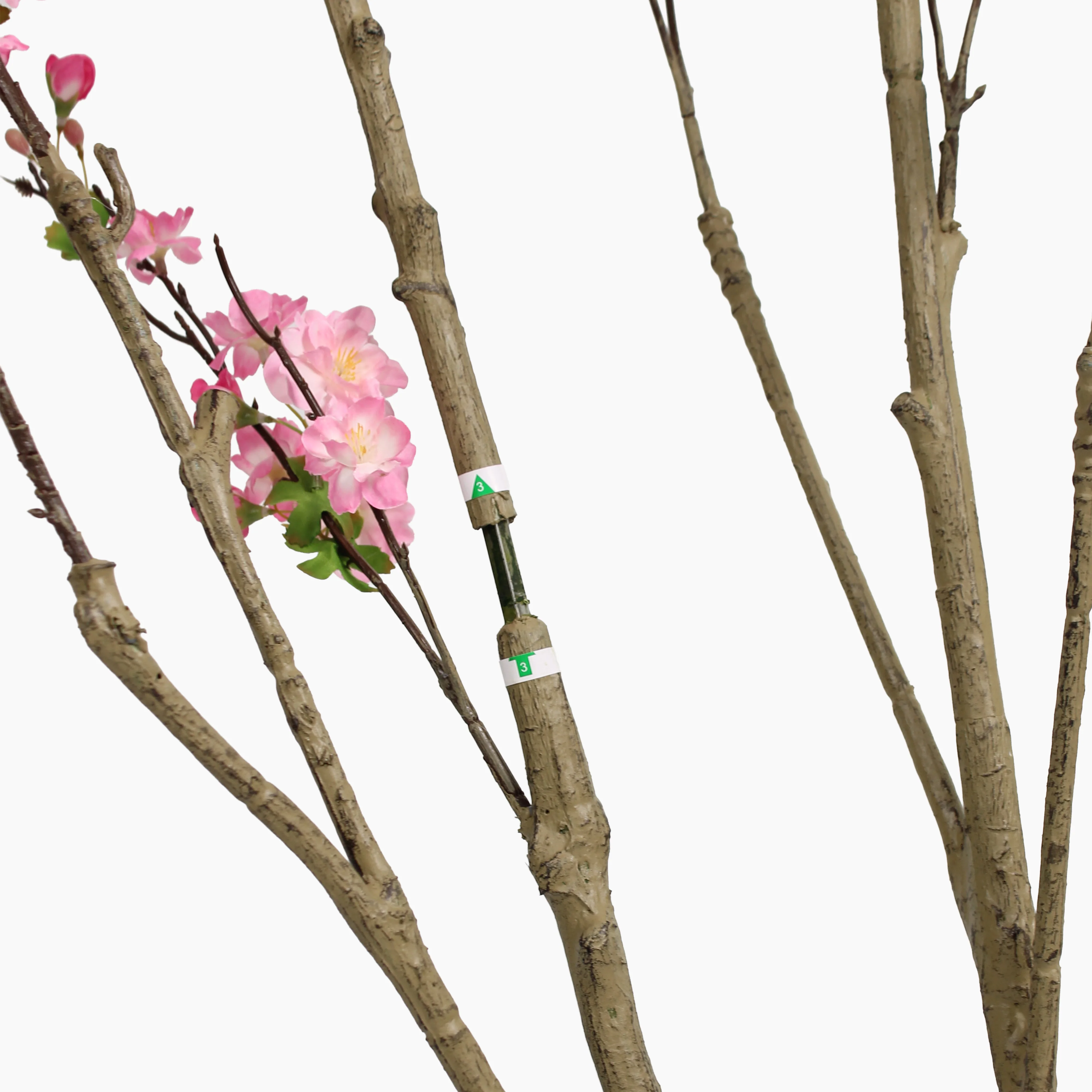 Blossom tree - Image 6