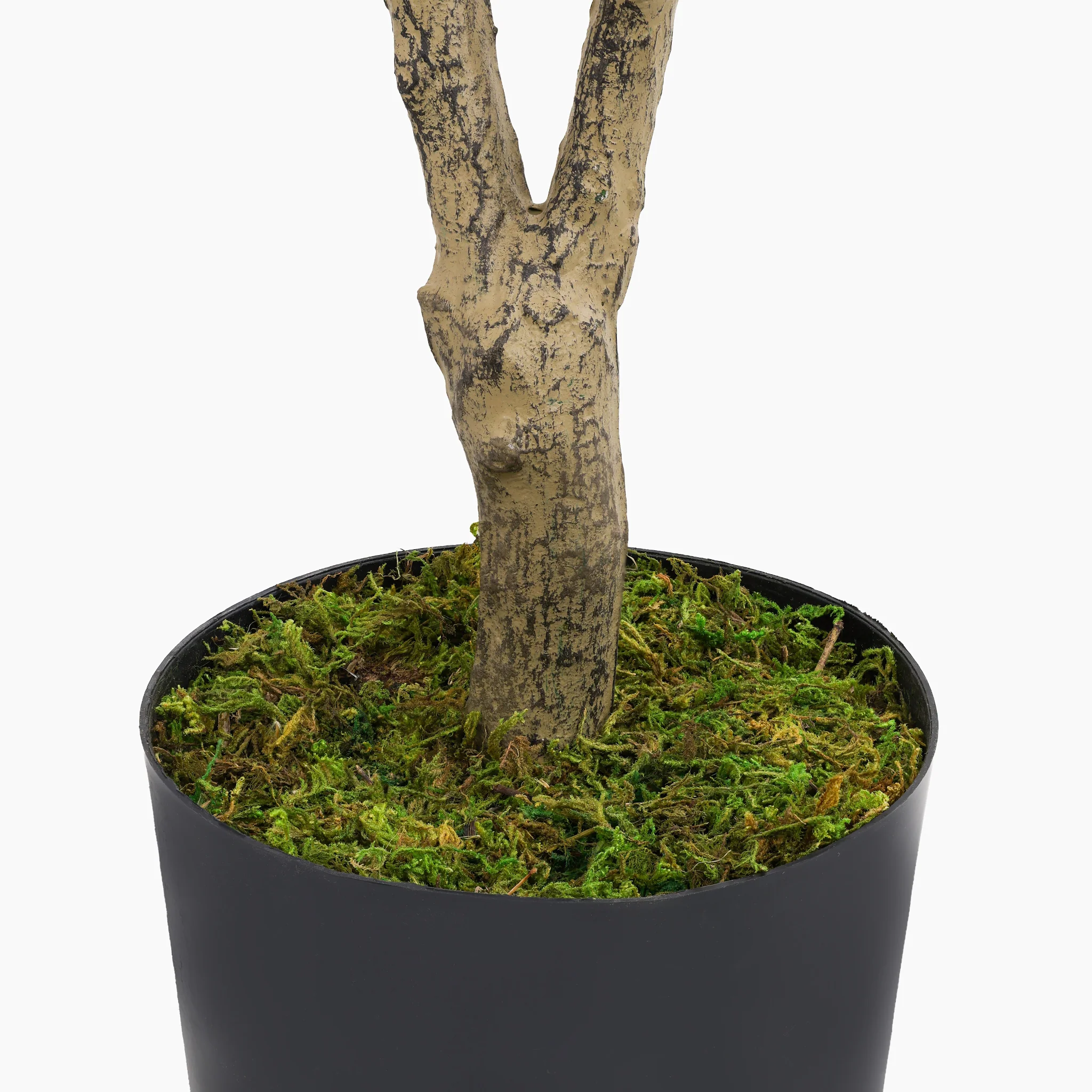 Blossom tree - Image 7