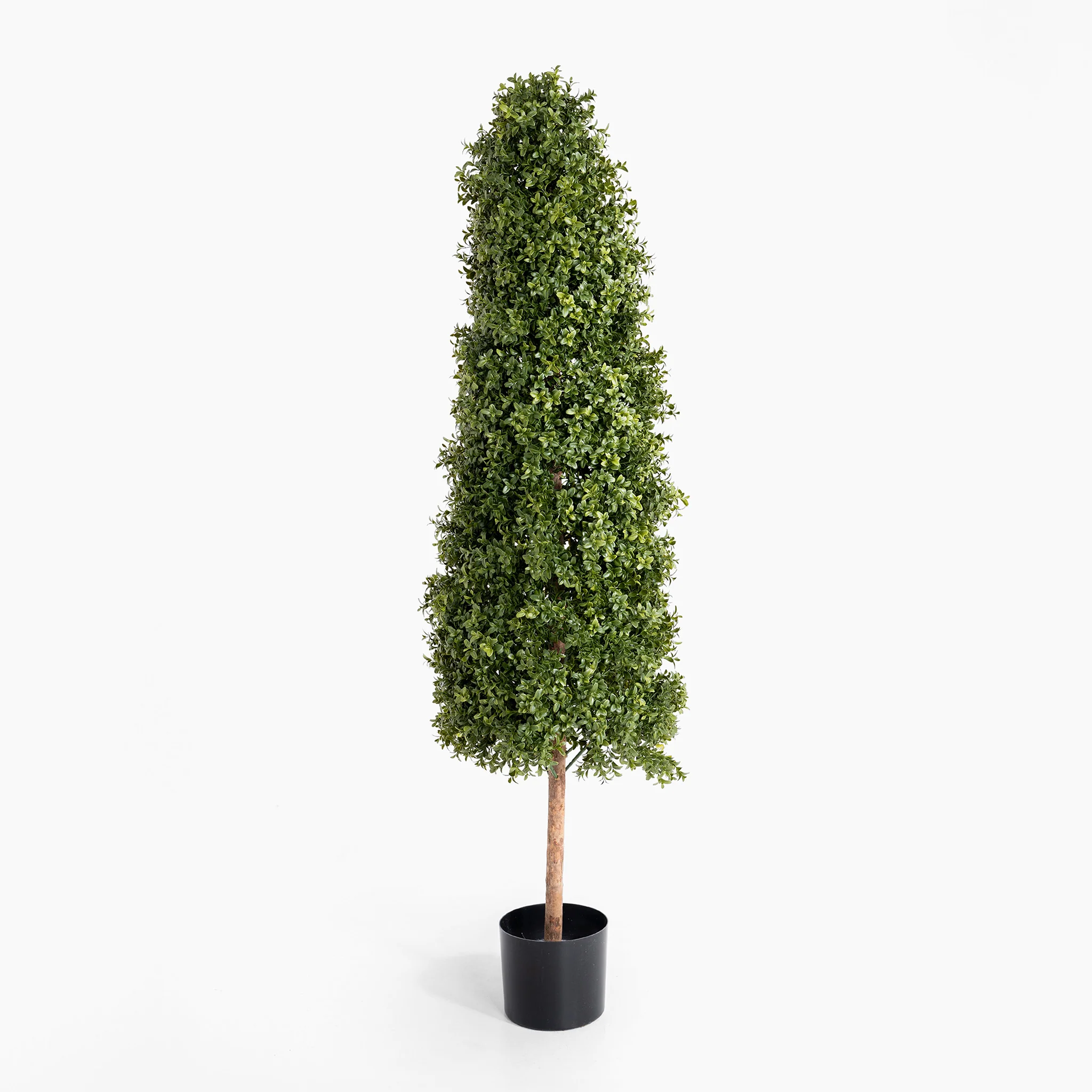 Boxwood tower - Image 5