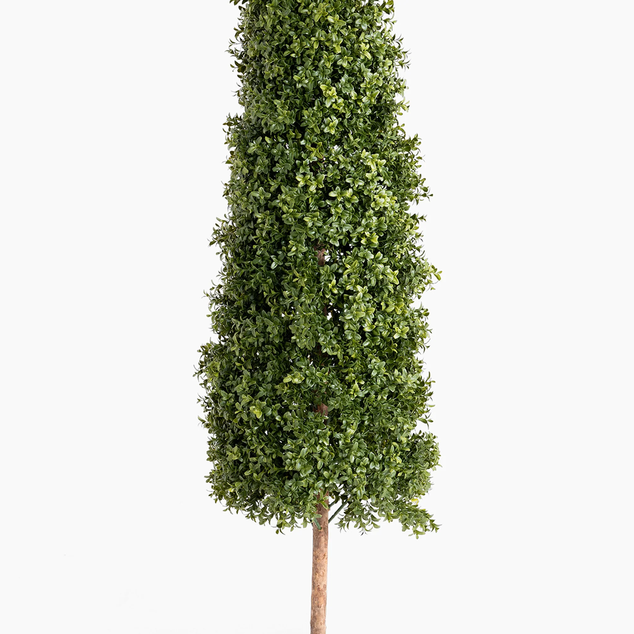 Boxwood tower - Image 6