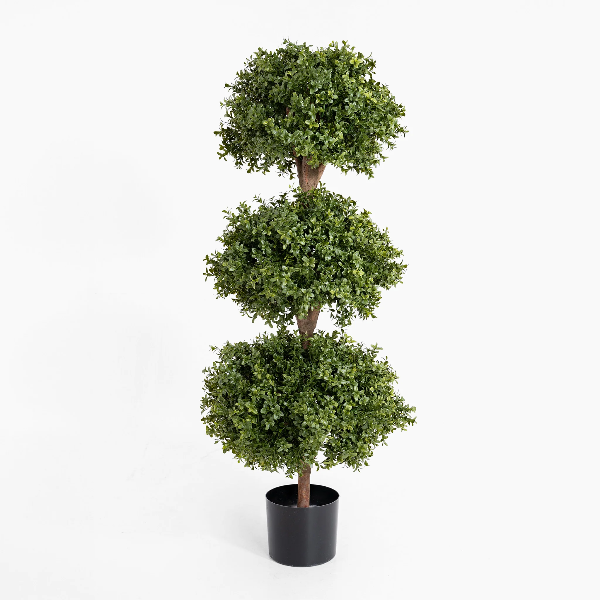 Boxwood triple ball tree - Image 3
