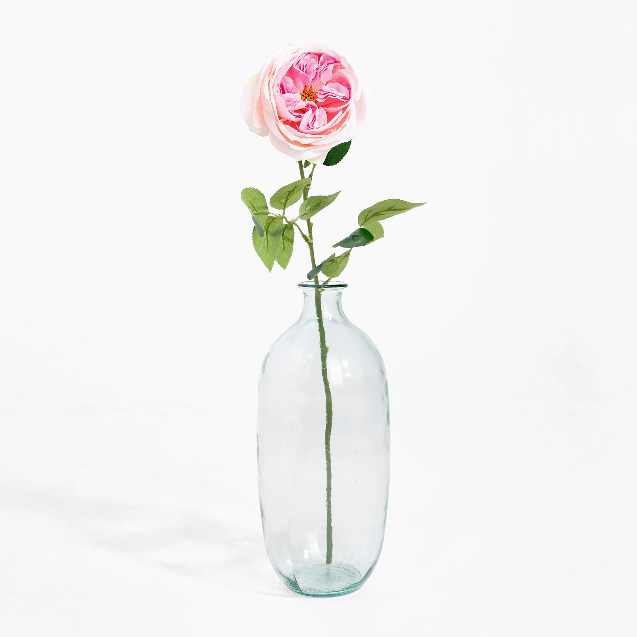 Cabbage rose stem - Image 3