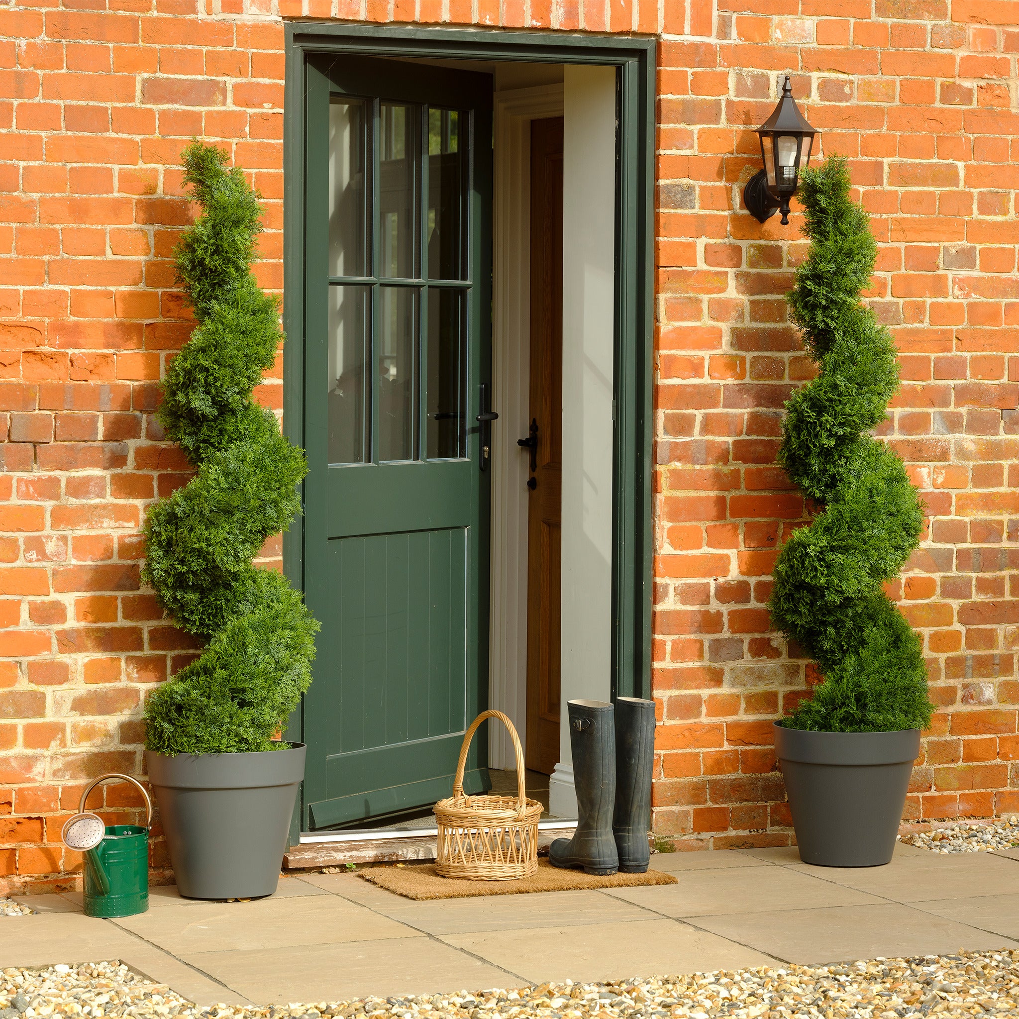 Cedar spiral - Image 7