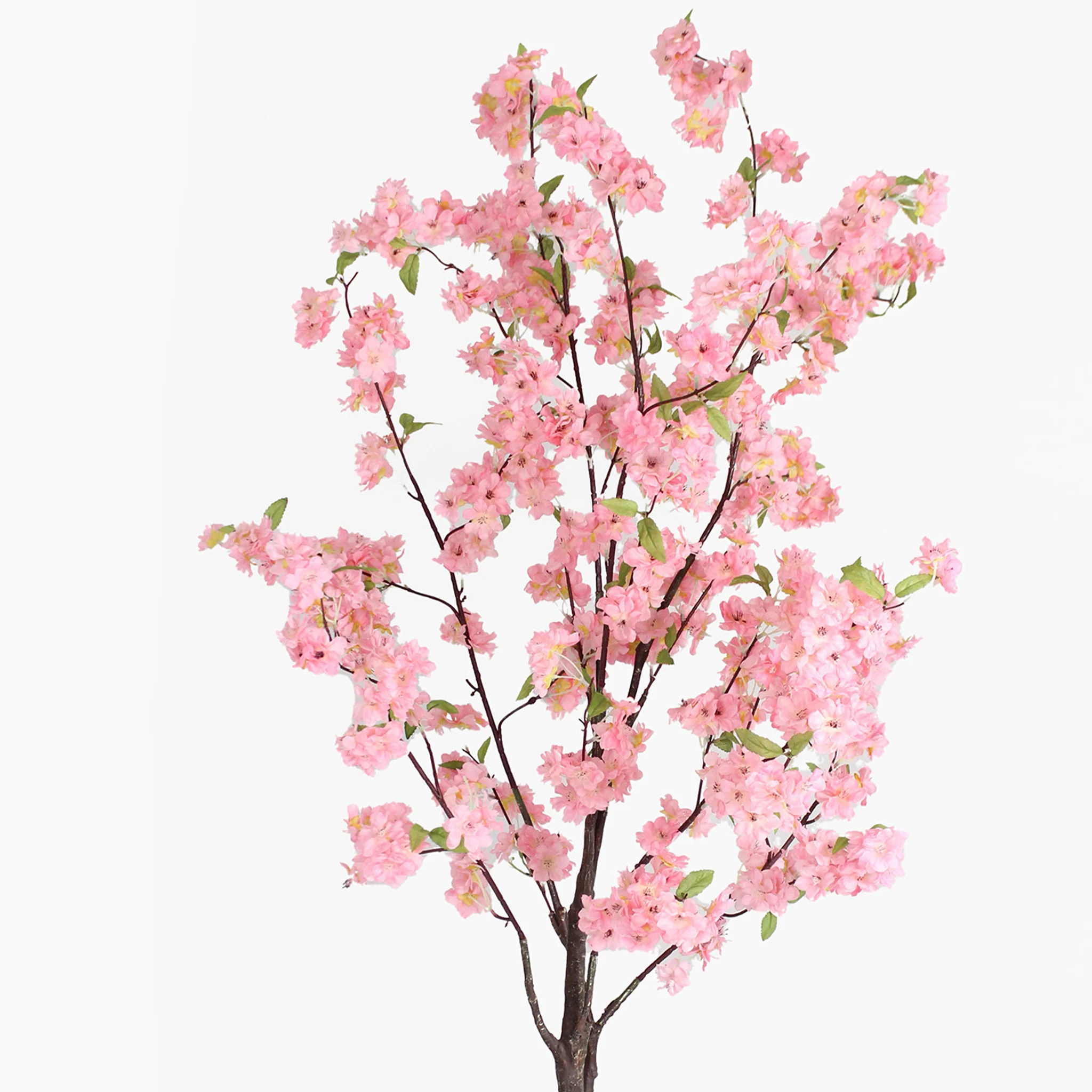 Cherry blossom tree - Image 4