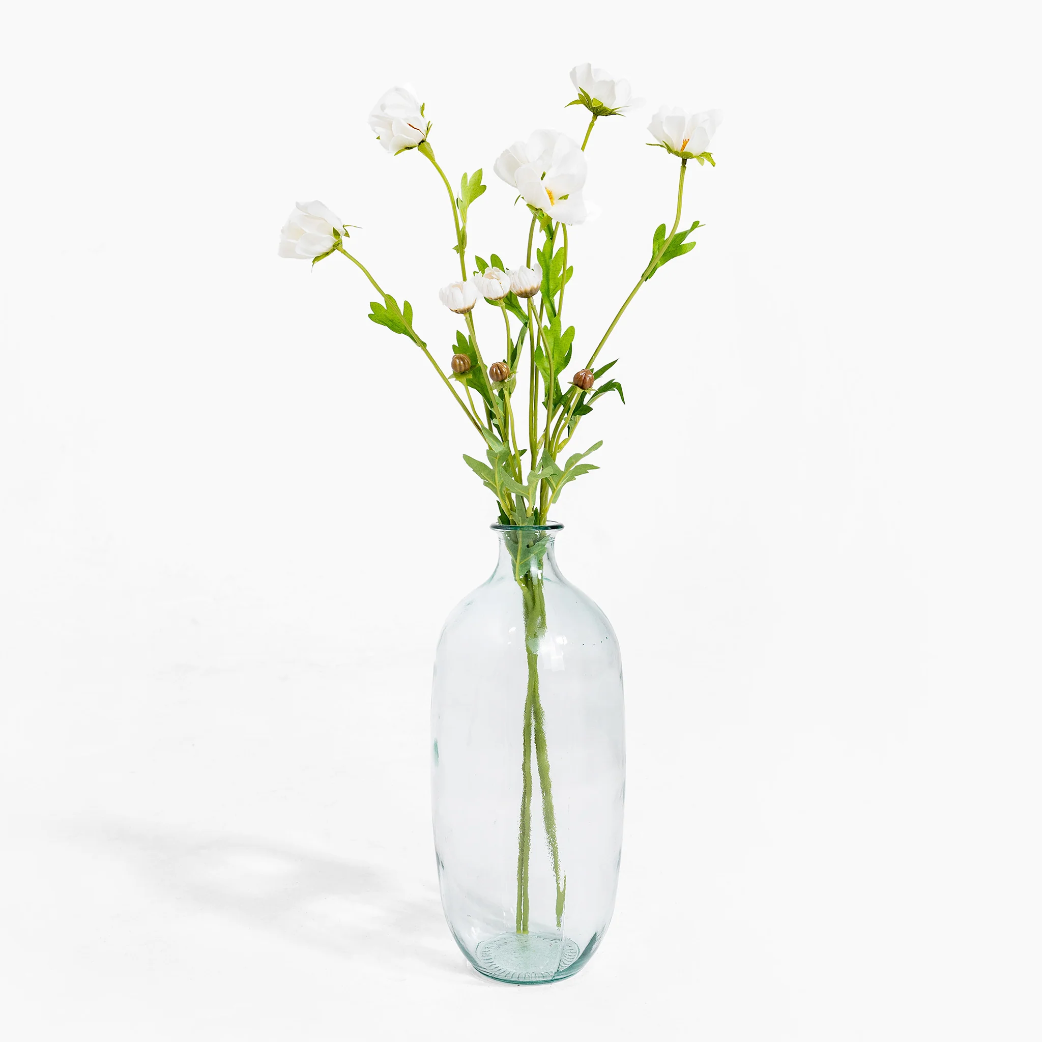 Cosmo stem - Image 2