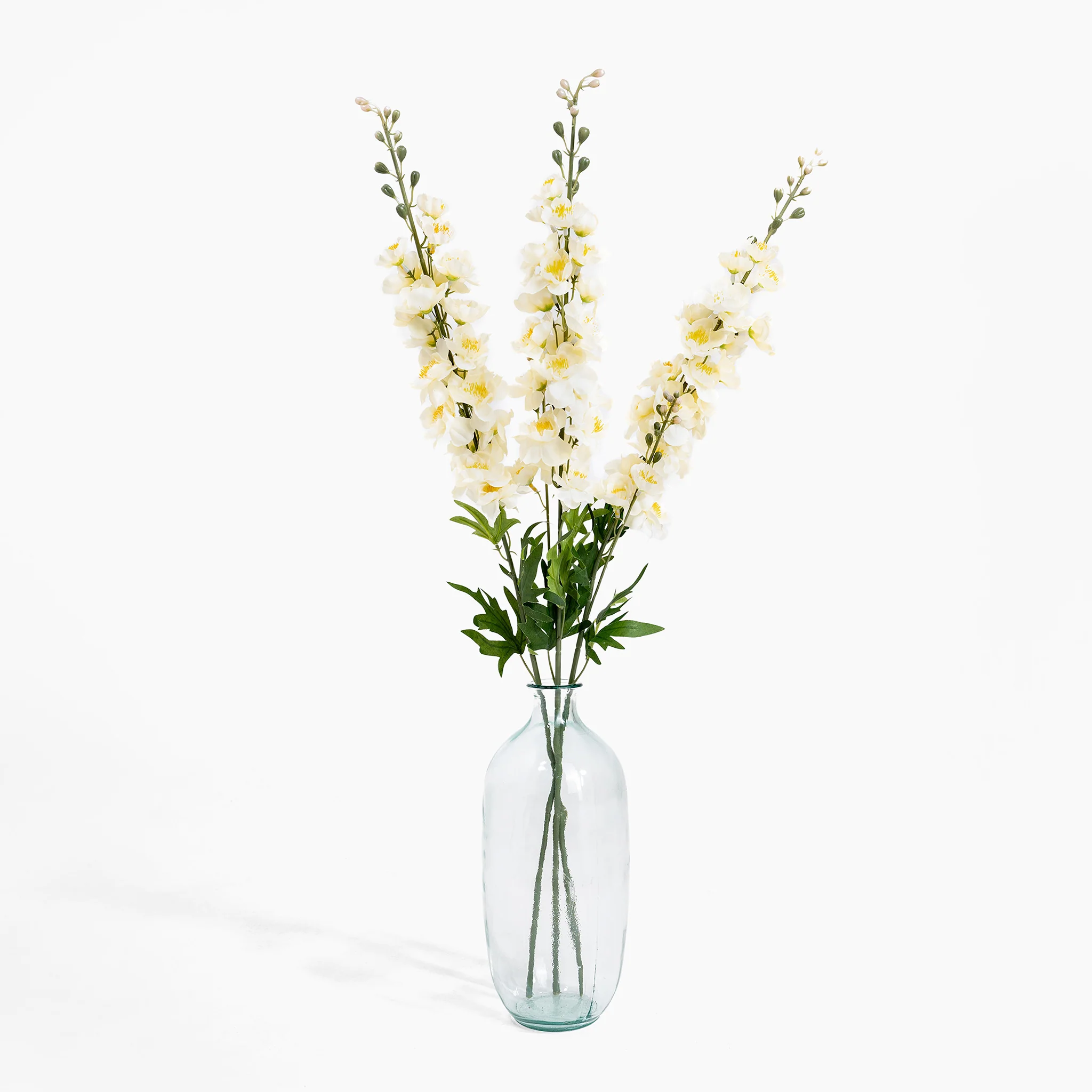 Delphinium stem - Image 5