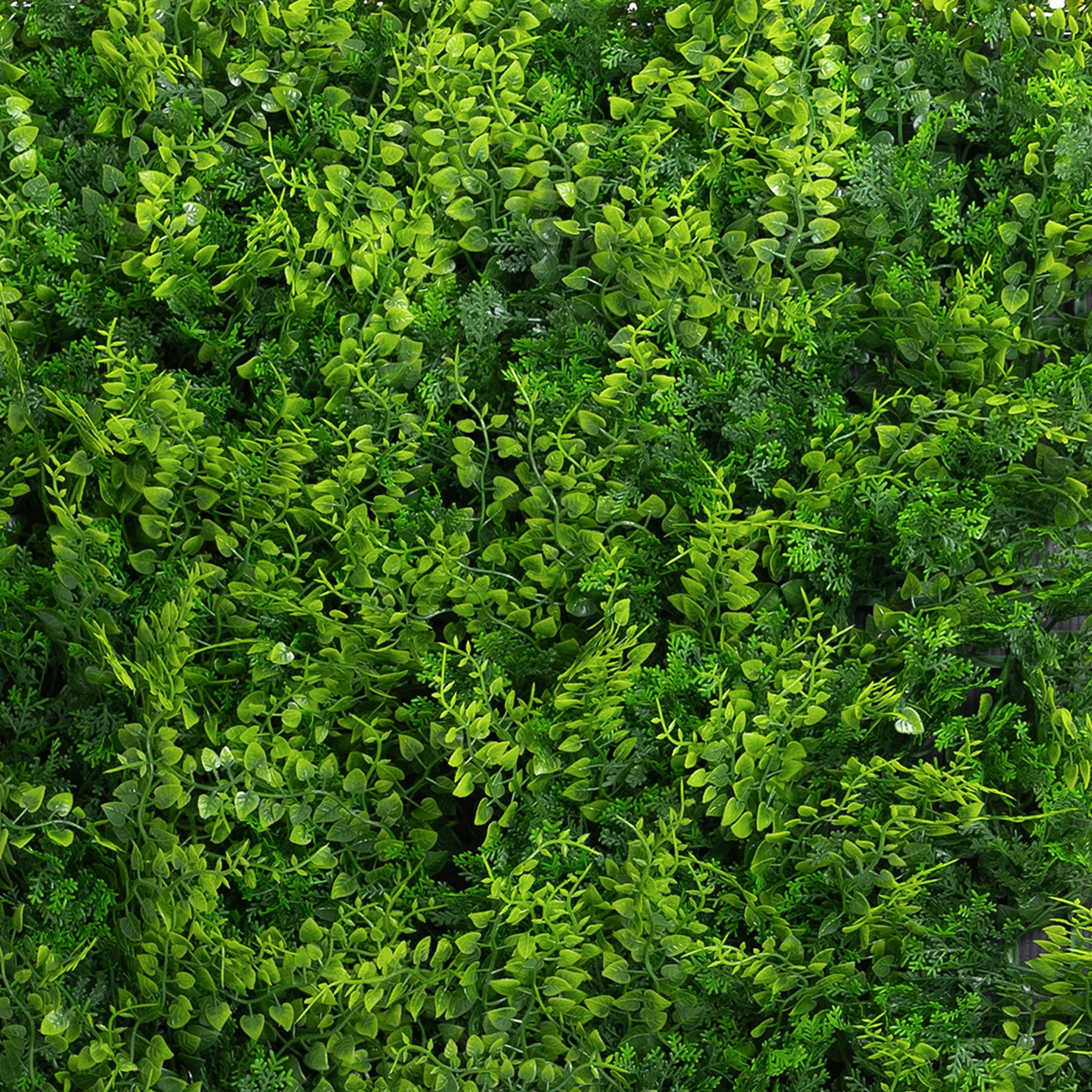 Fern foliage living wall - Image 3