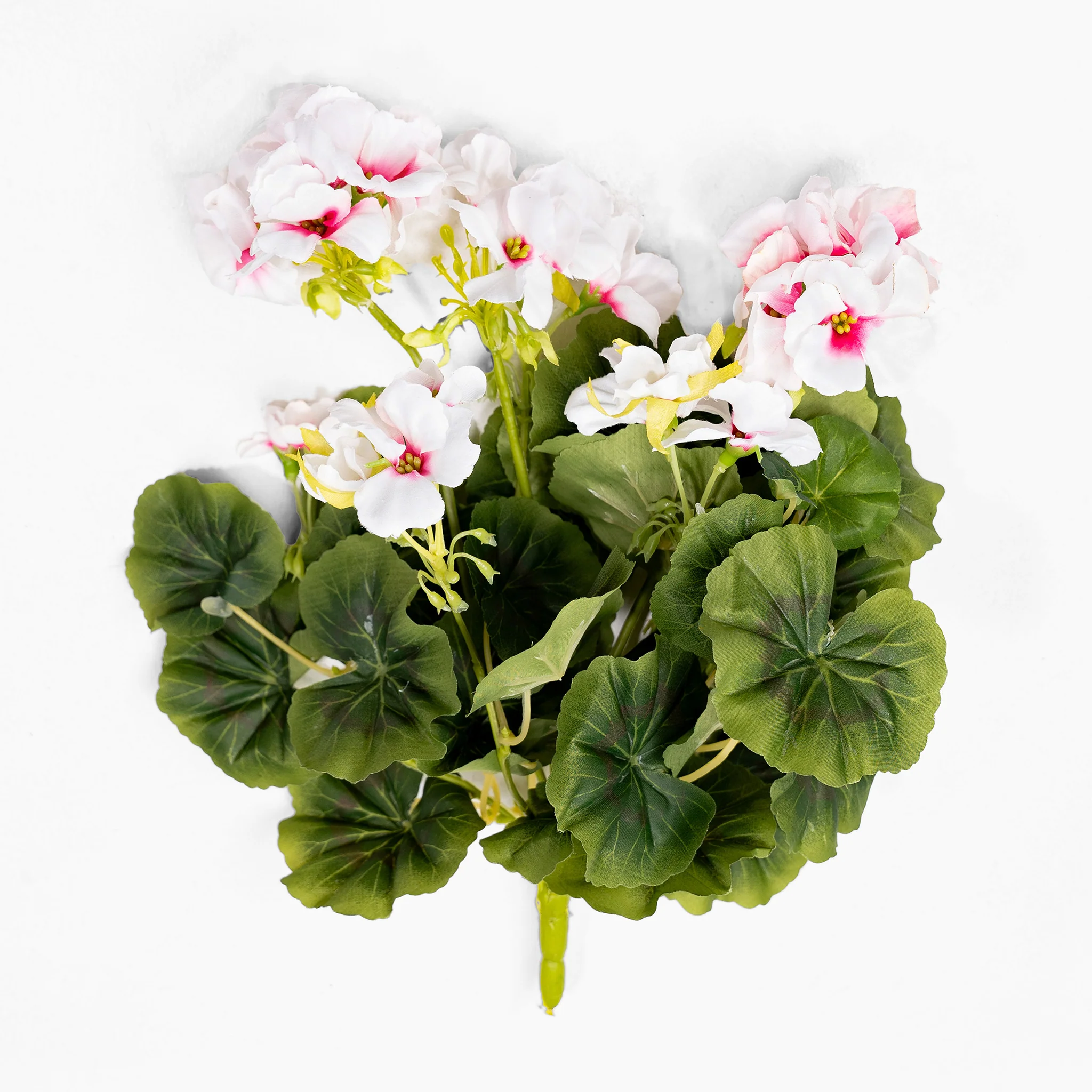 Geranium bush - Image 3