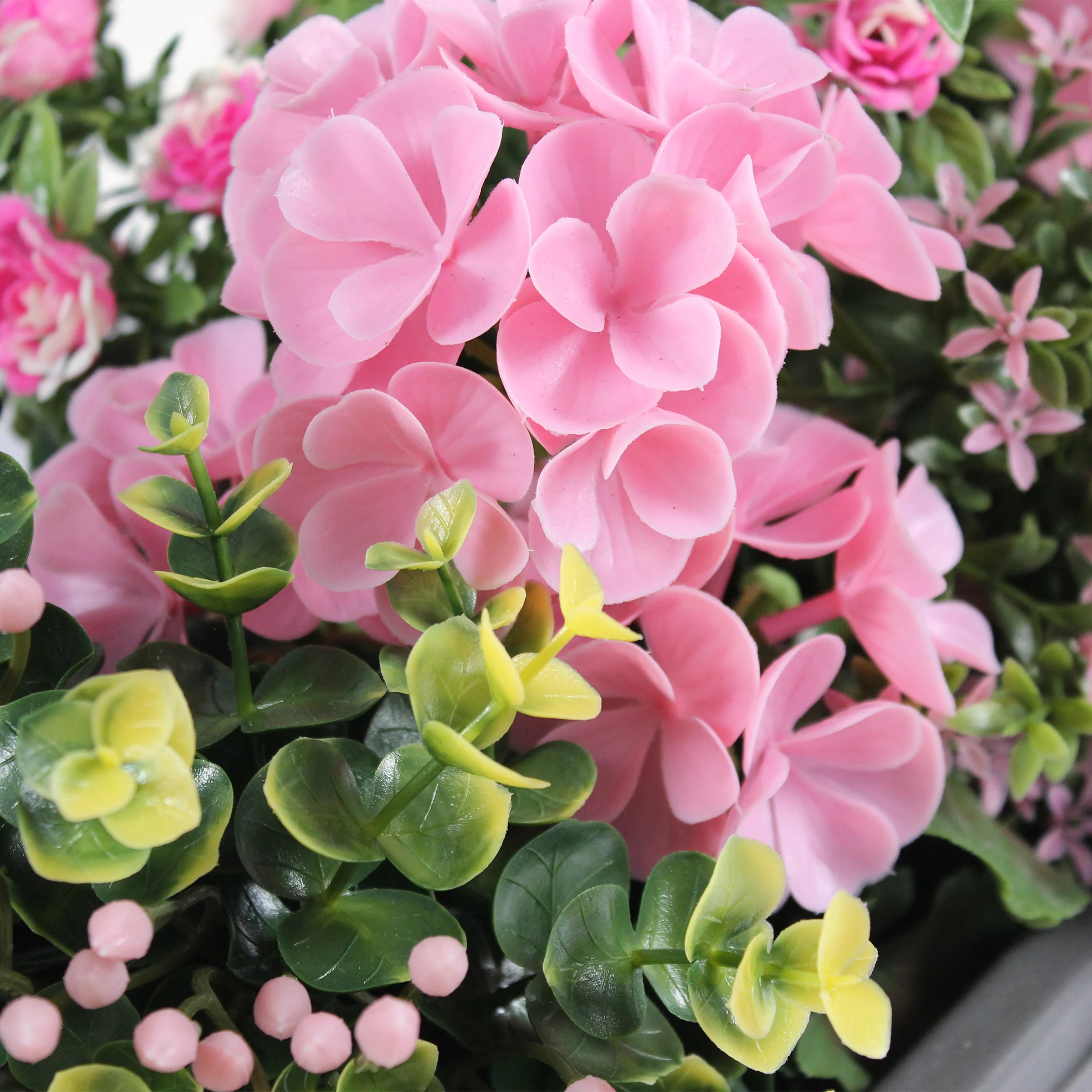 Geranium & starflower window box - Image 4