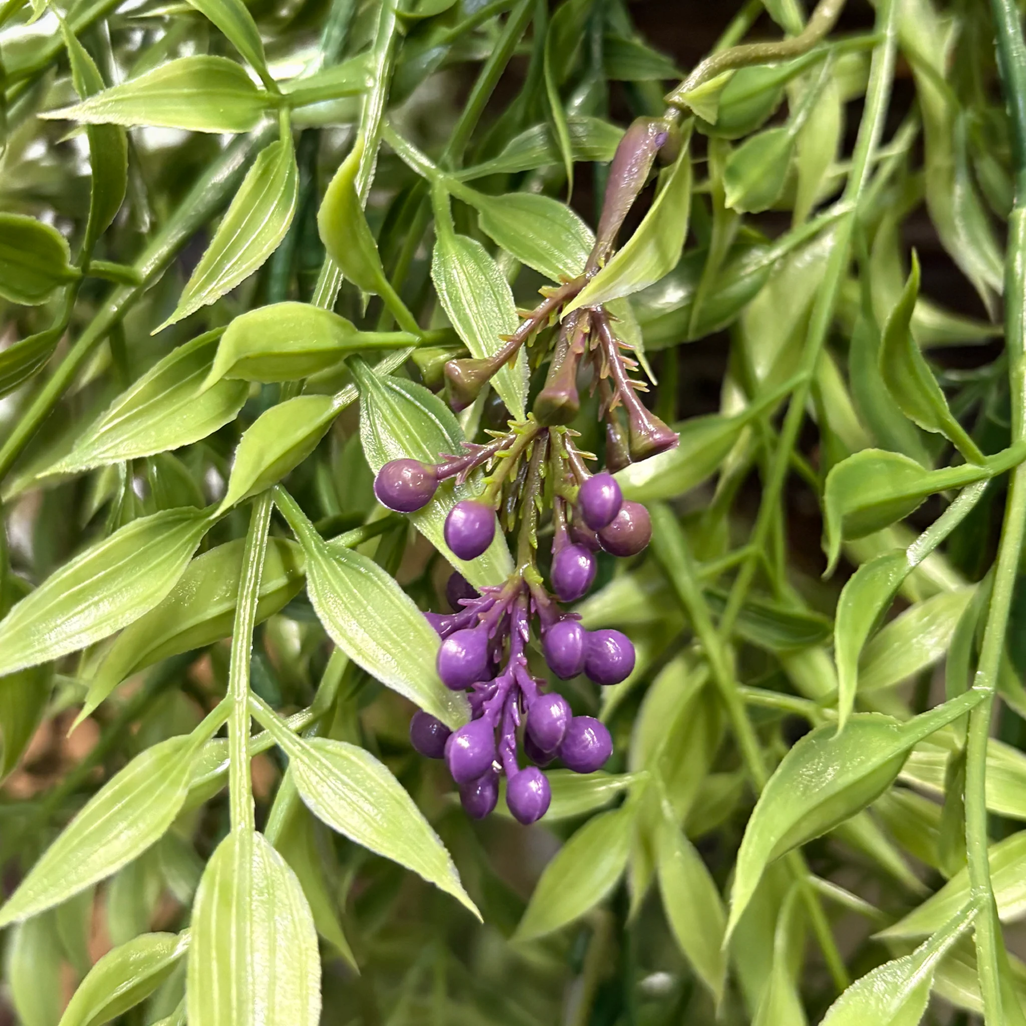 Golden willow falls hanging basket - Image 4
