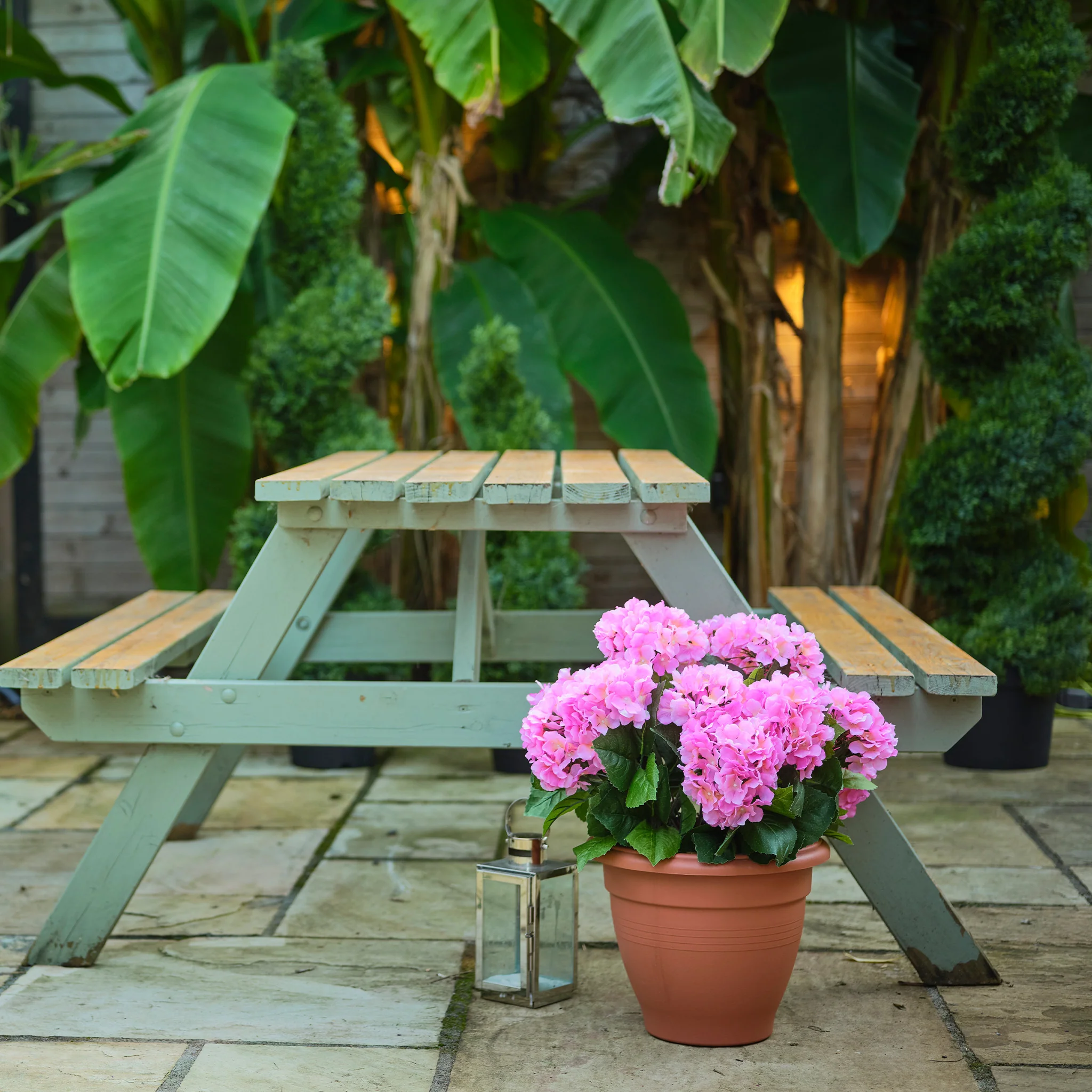 Hydrangea patio planter - Image 8