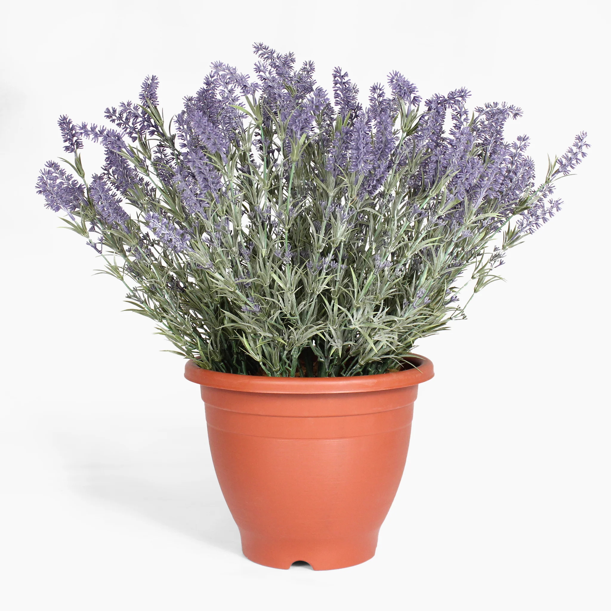 Lavender patio planter - Image 4