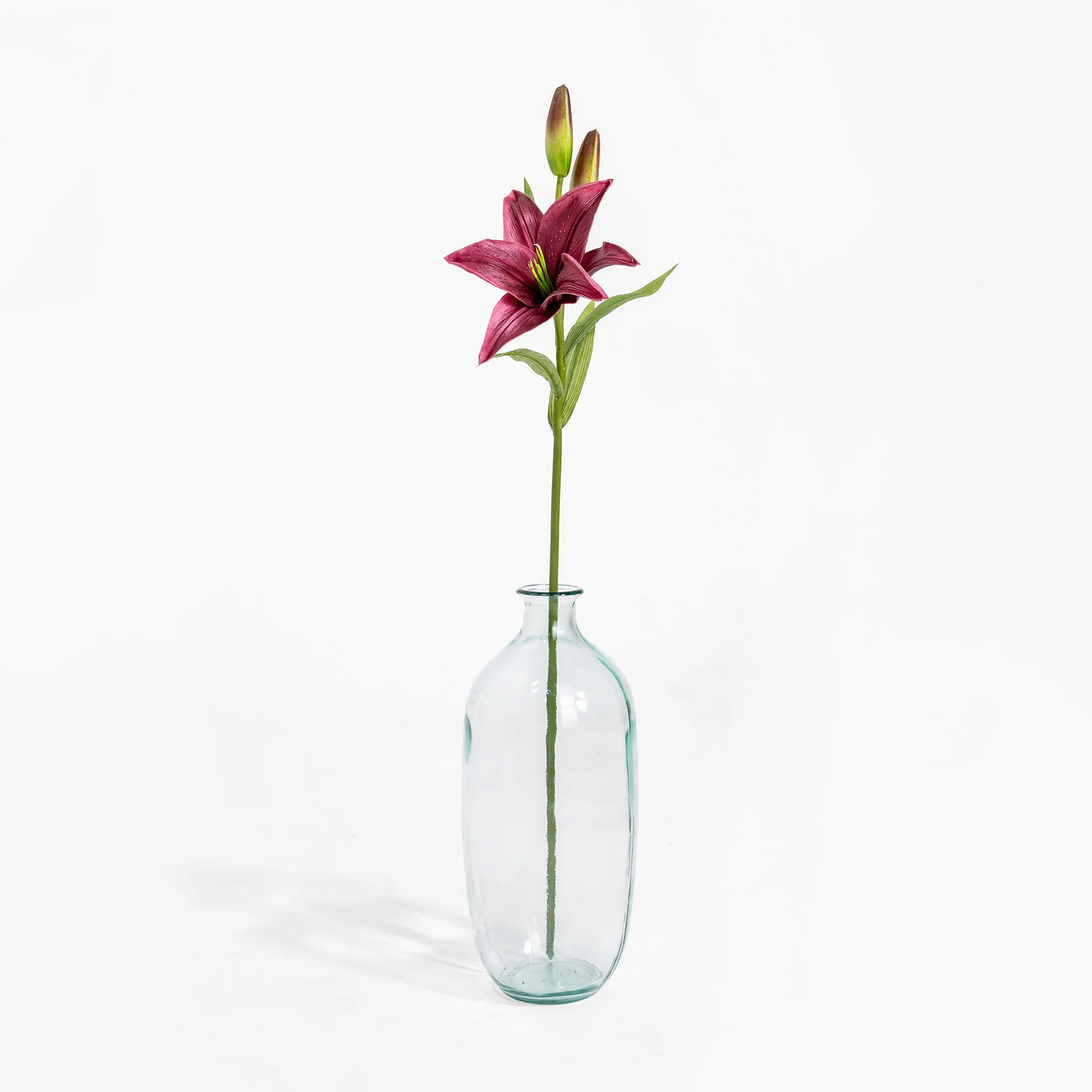 Lily stem