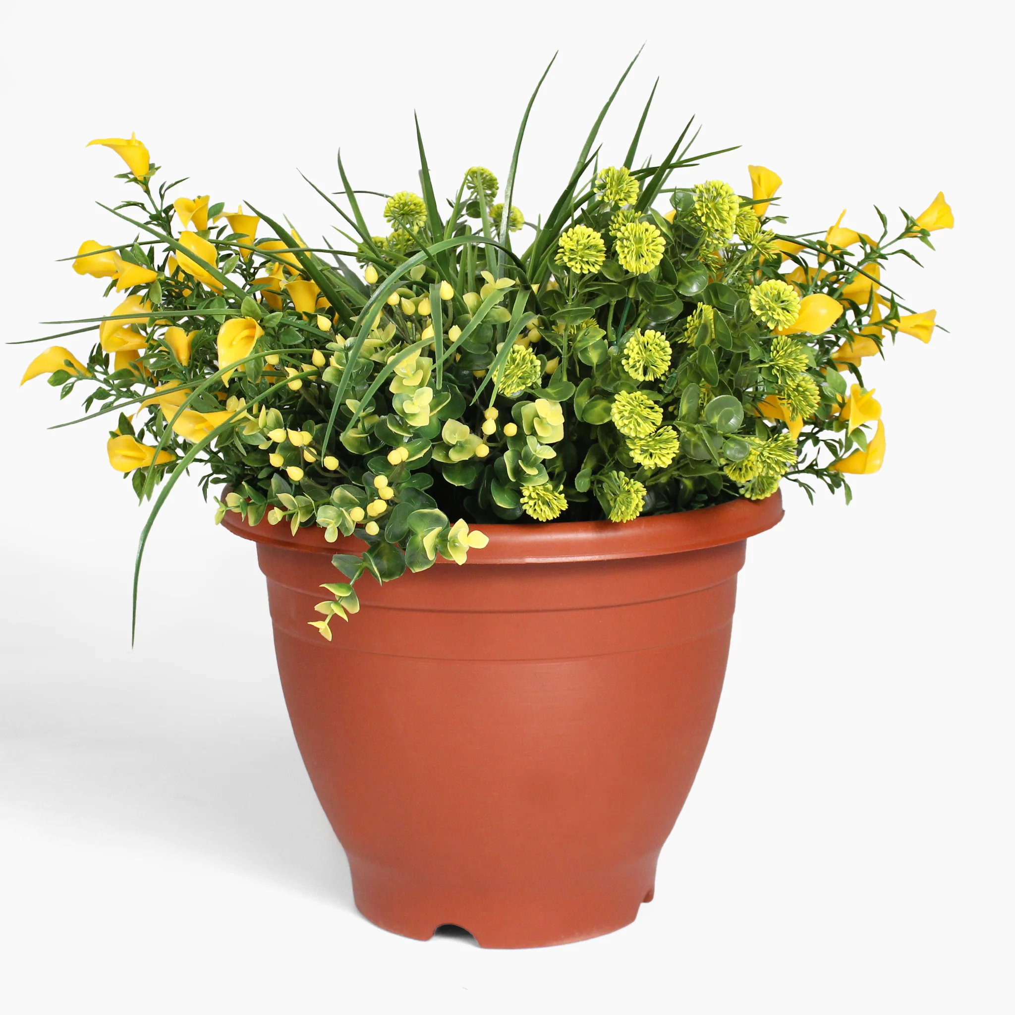 Morning sunshine patio planter - Image 3