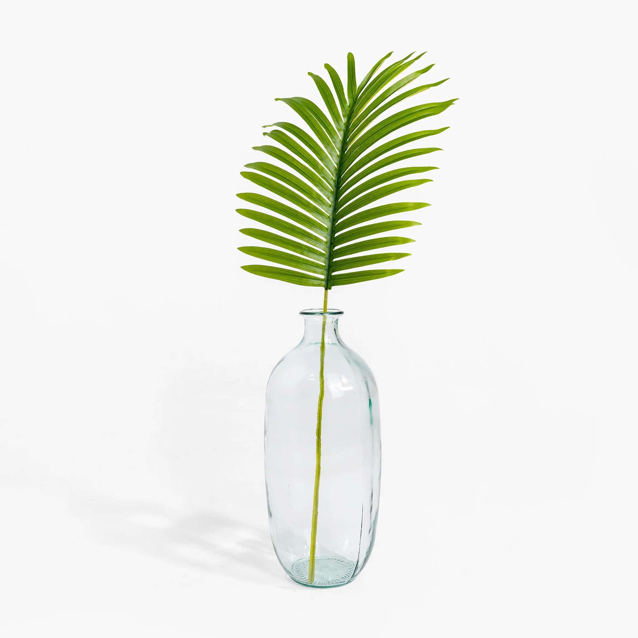 Paradise leaf