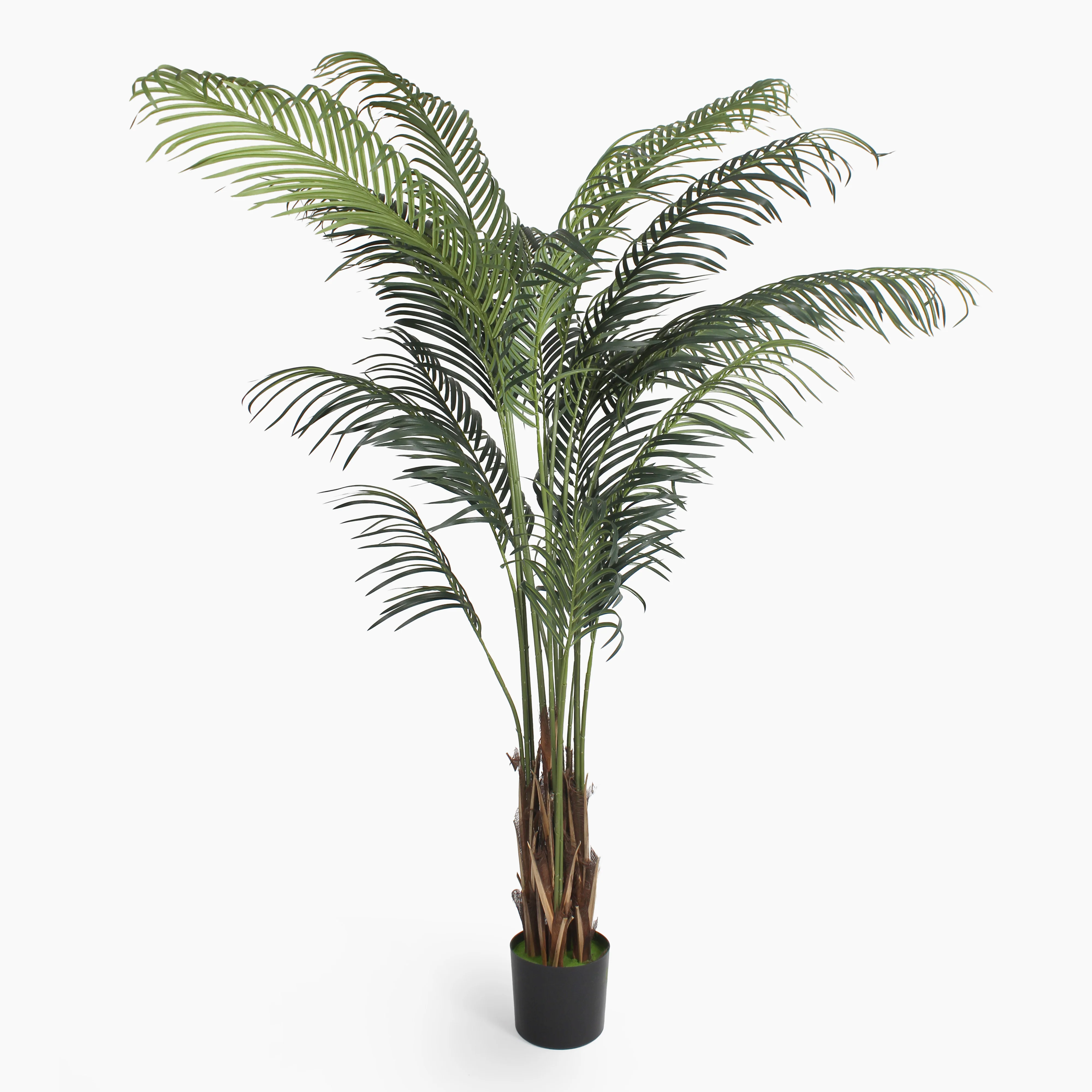 Tropical palm (faulty) - Image 4