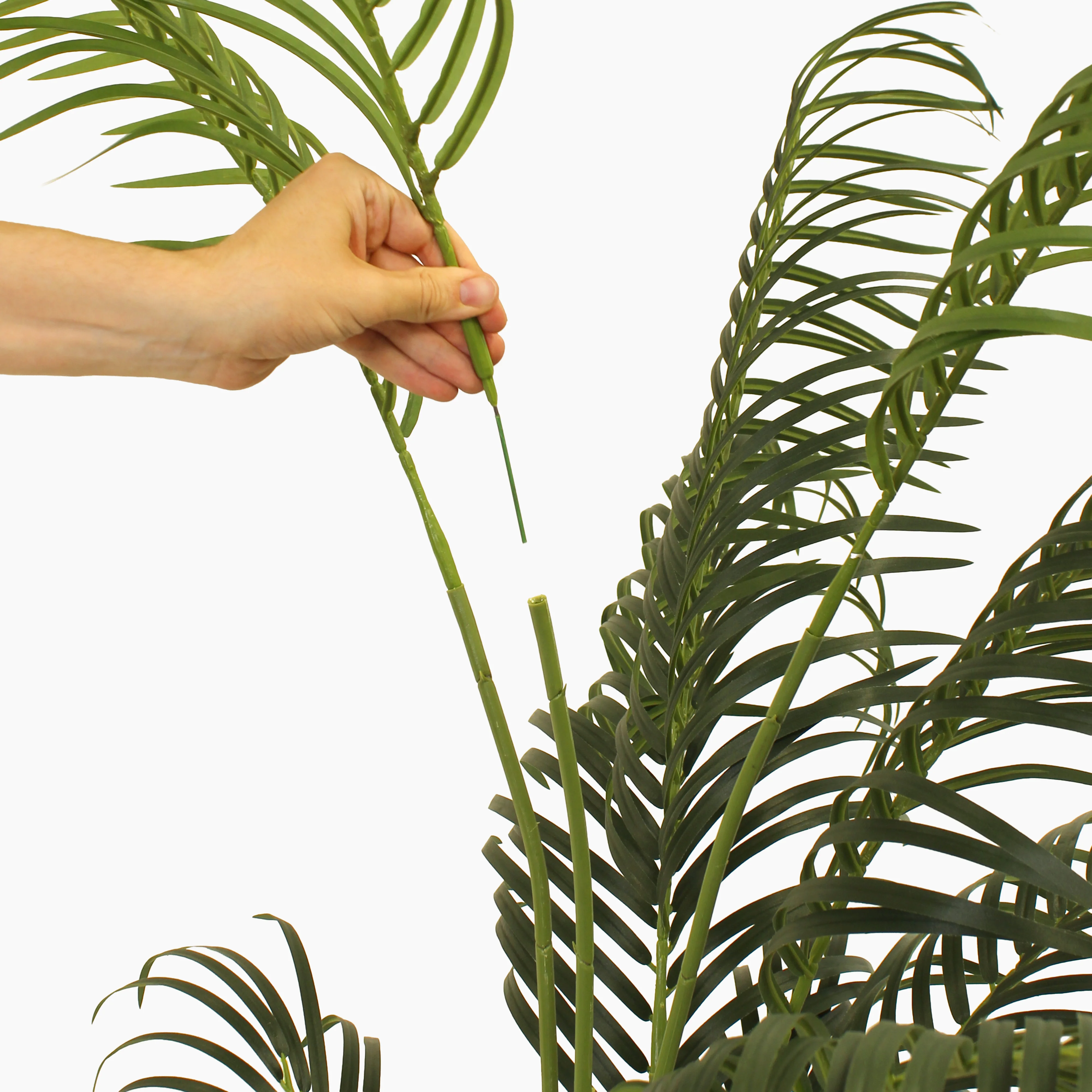 Tropical palm (faulty) - Image 6