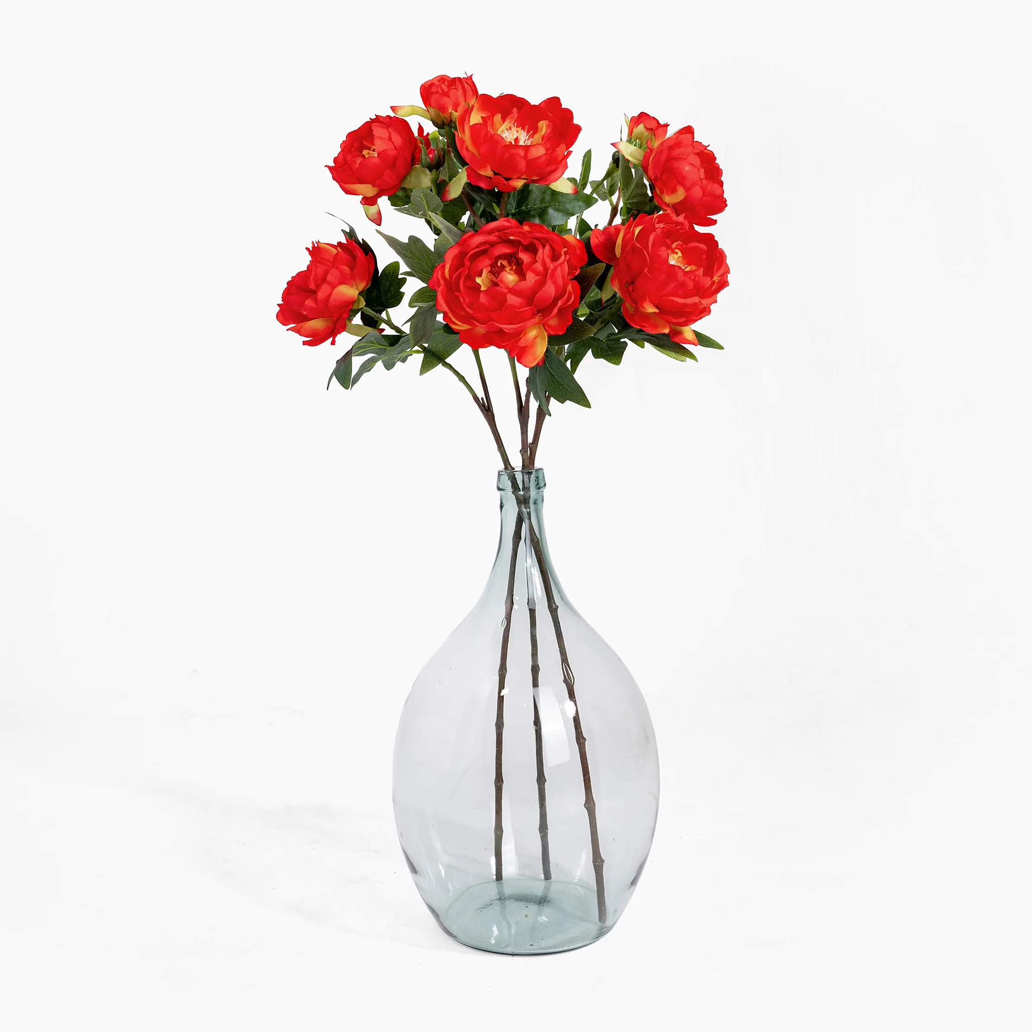 Peony stem - Image 3
