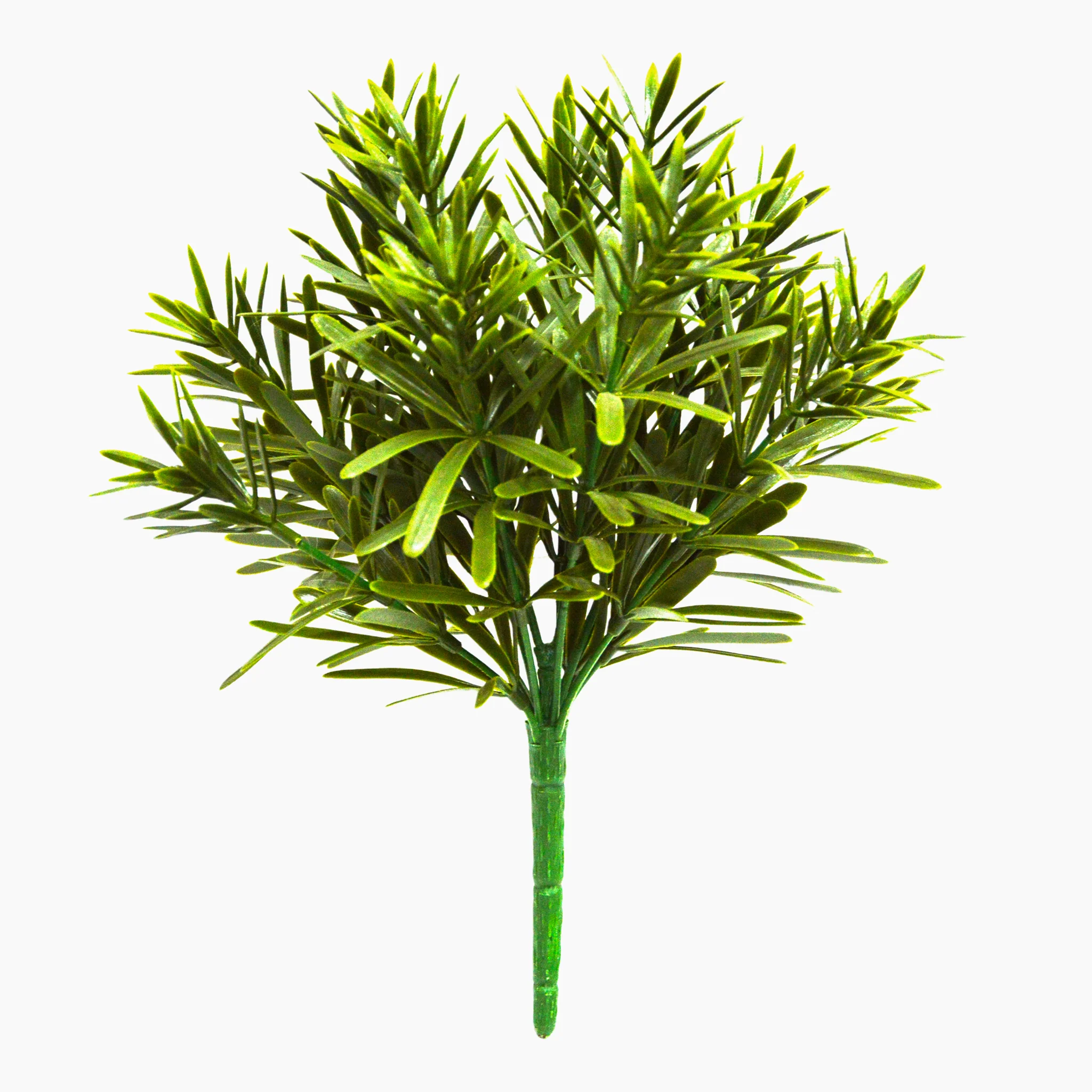 Pine bush