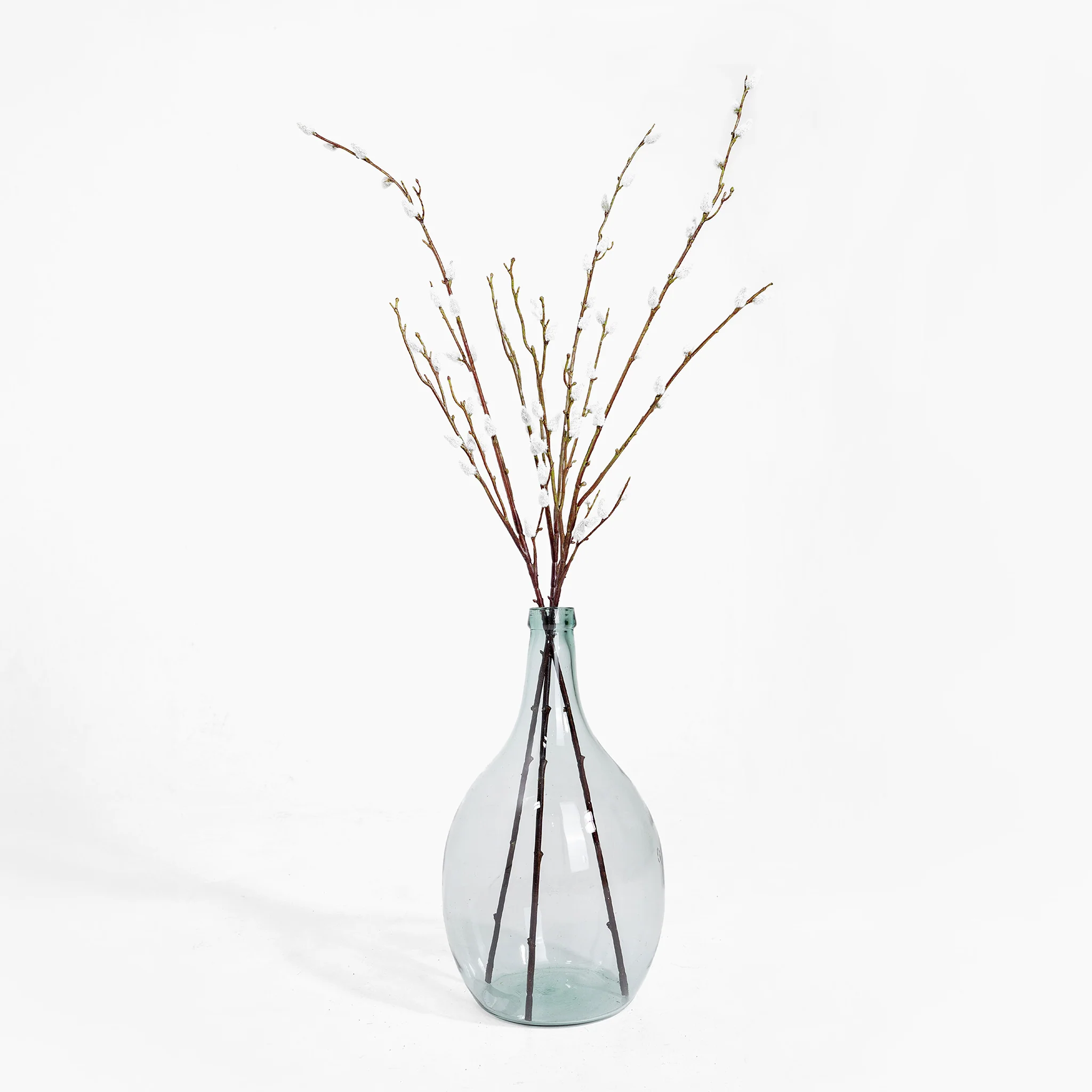 Pussy willow stem - Image 2