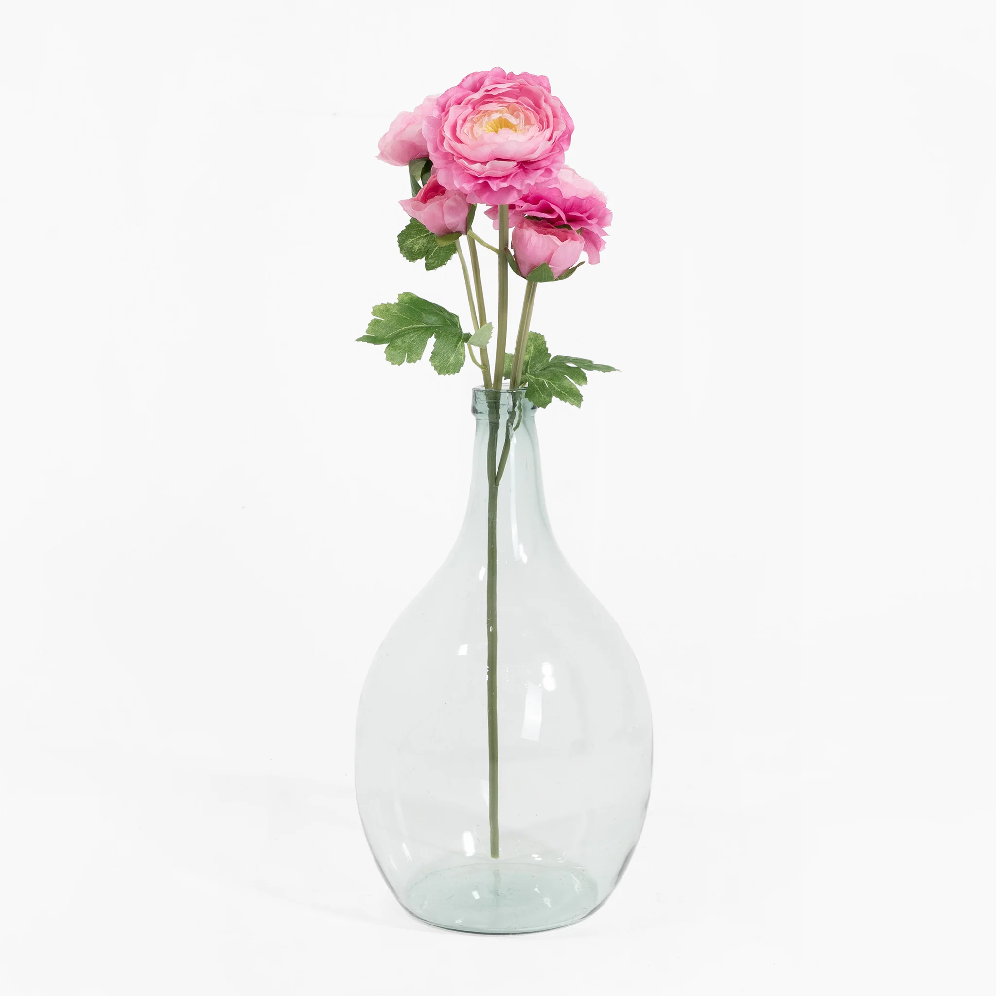 Ranunculus stem - Image 10