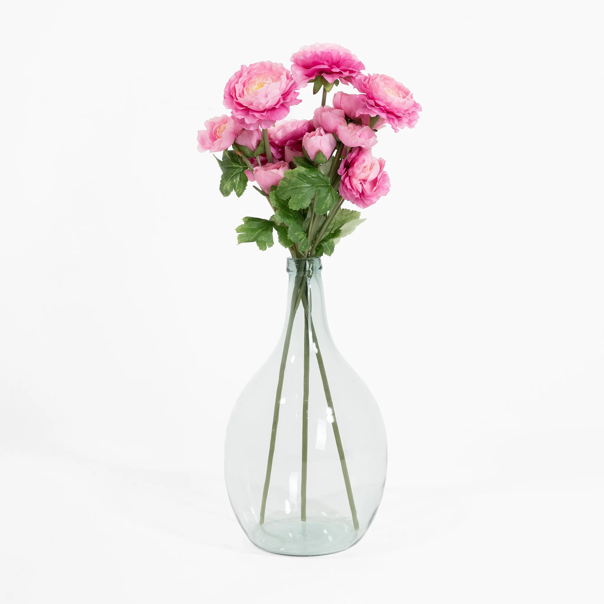 Ranunculus stem - Image 11