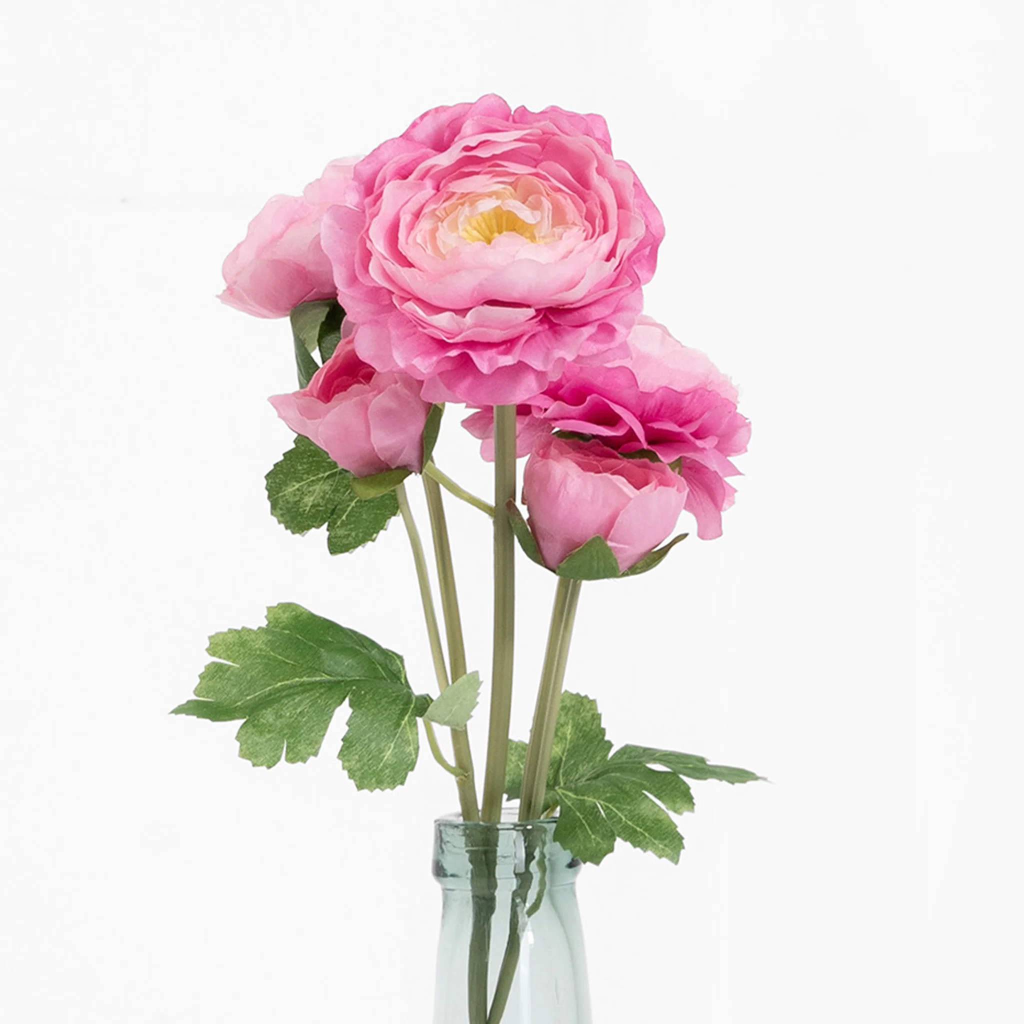 Ranunculus stem - Image 12