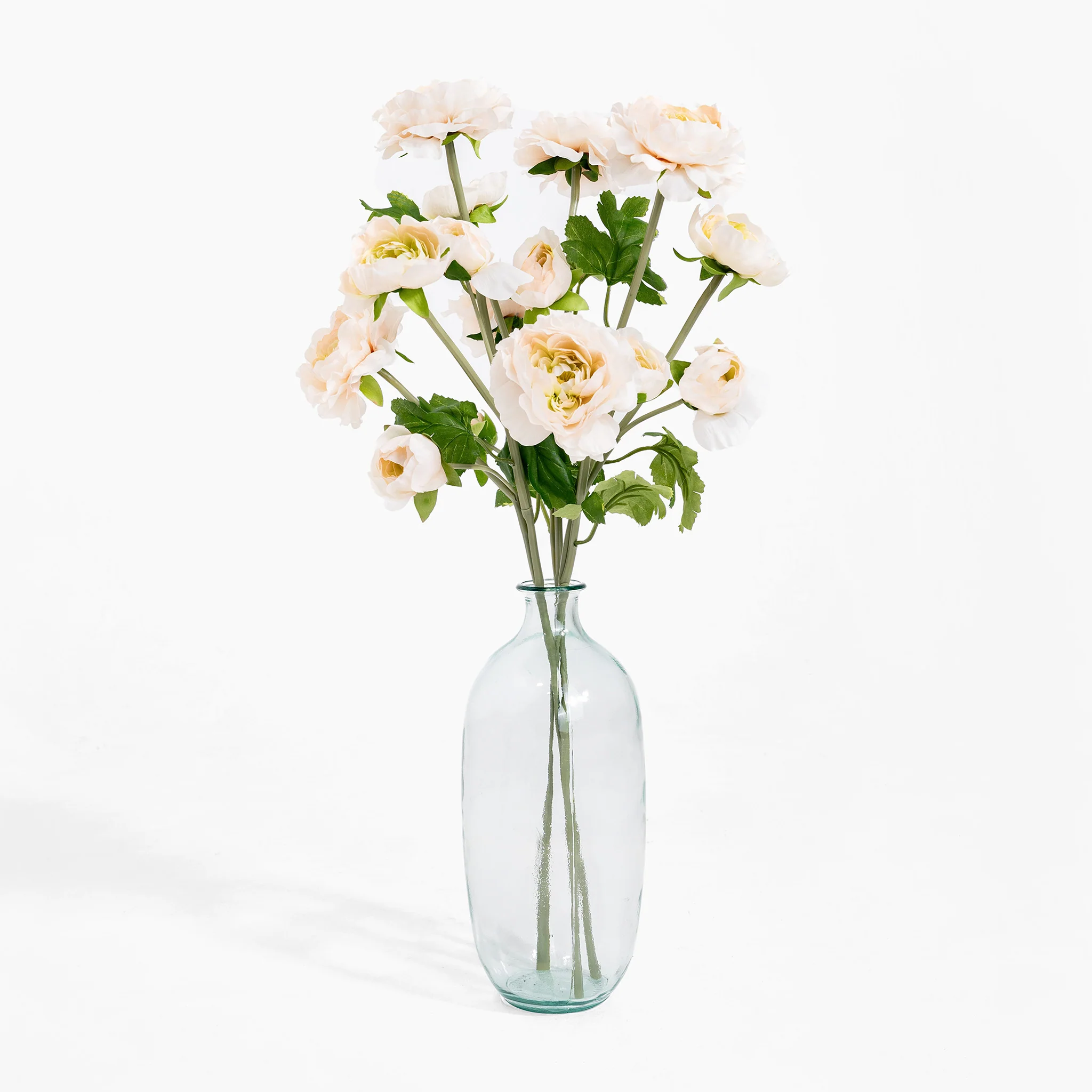 Ranunculus stem - Image 2