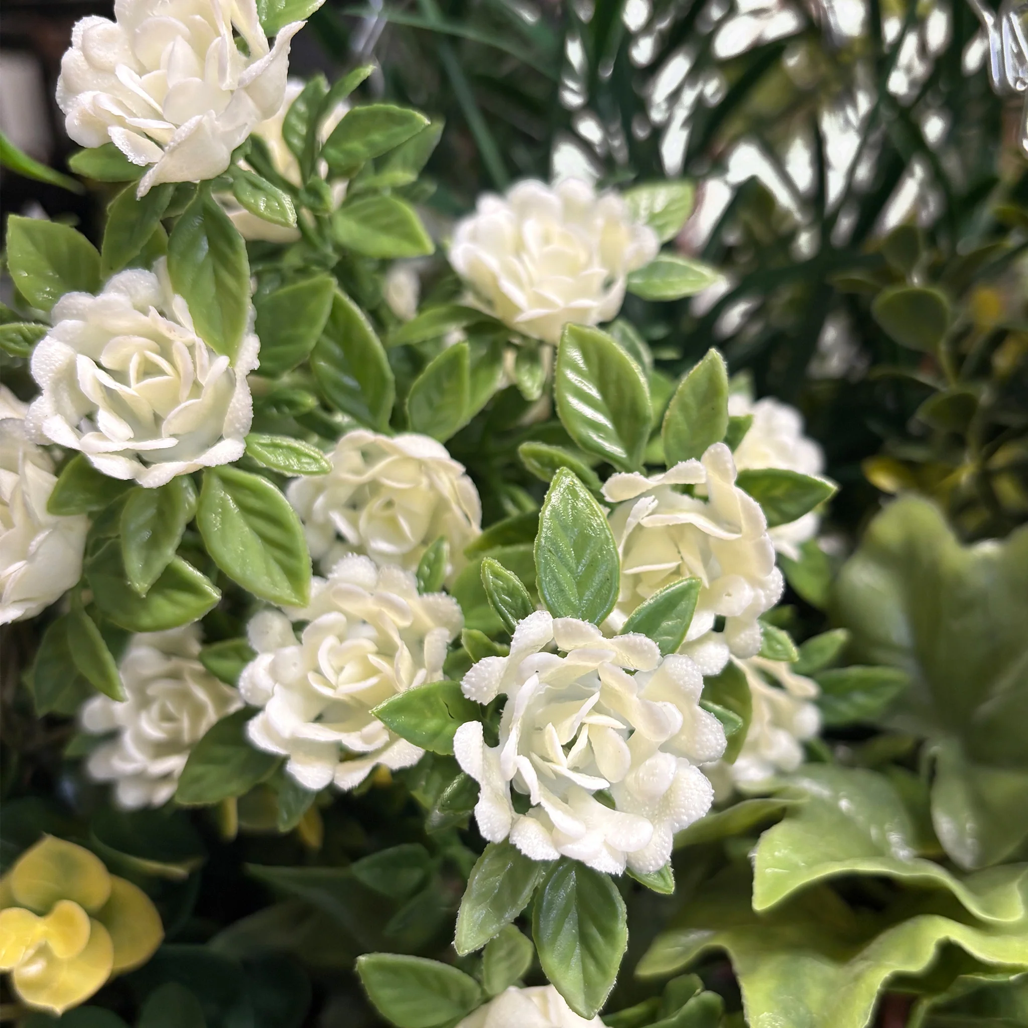Rose & ivy hanging basket - Image 11
