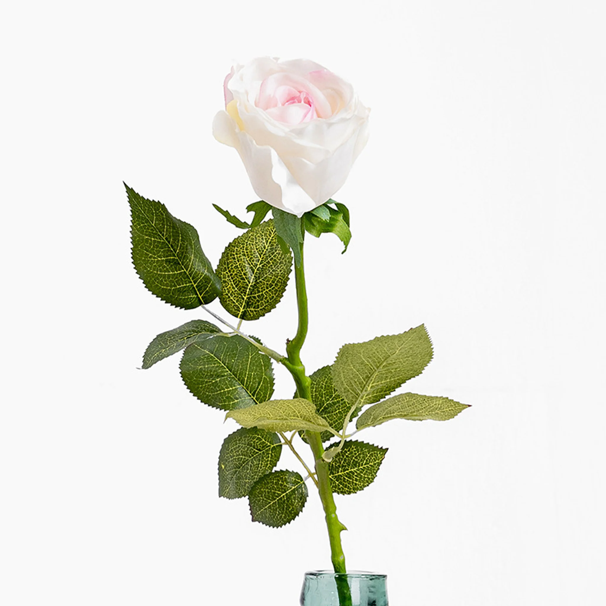 Rose stem - Image 7