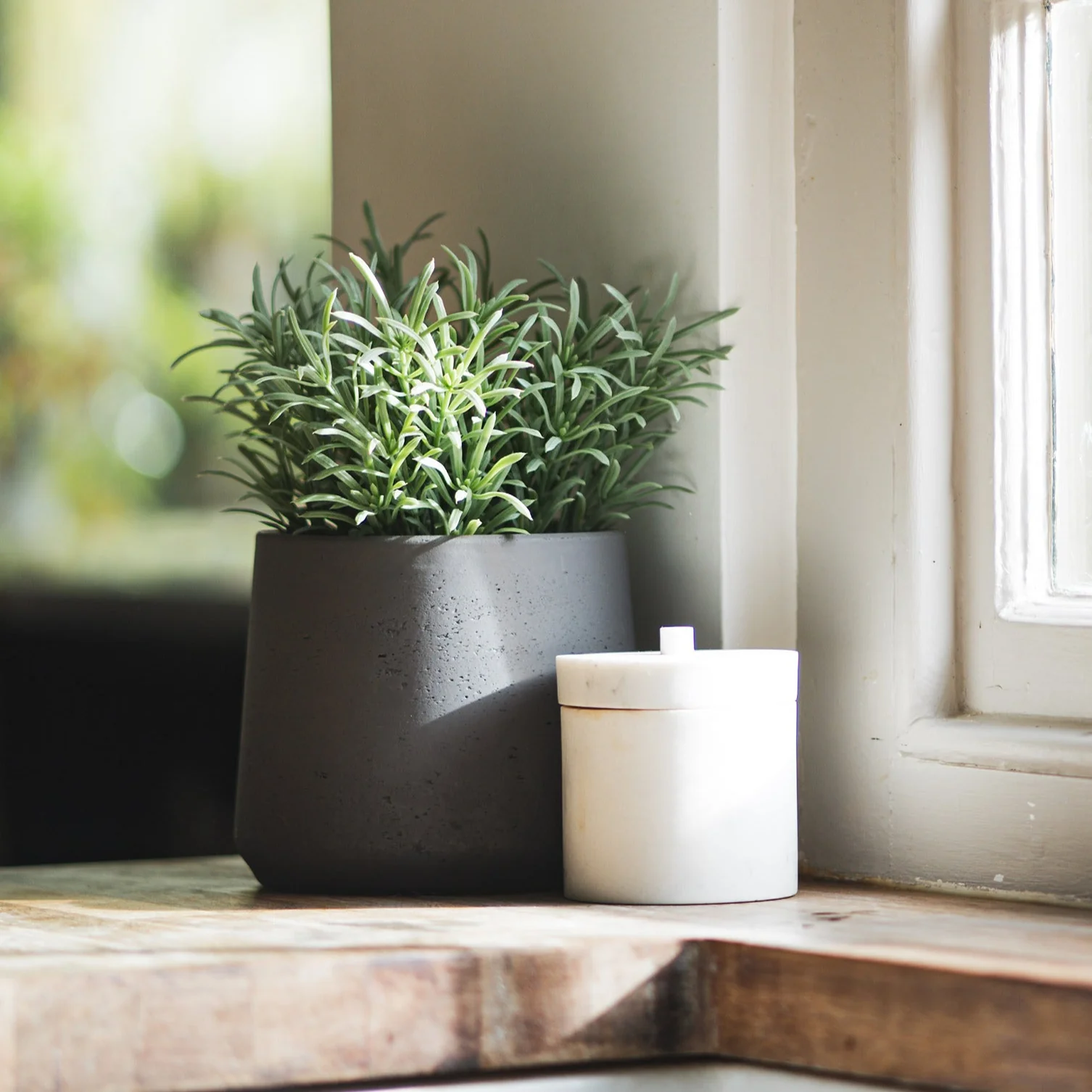 Rosemary
