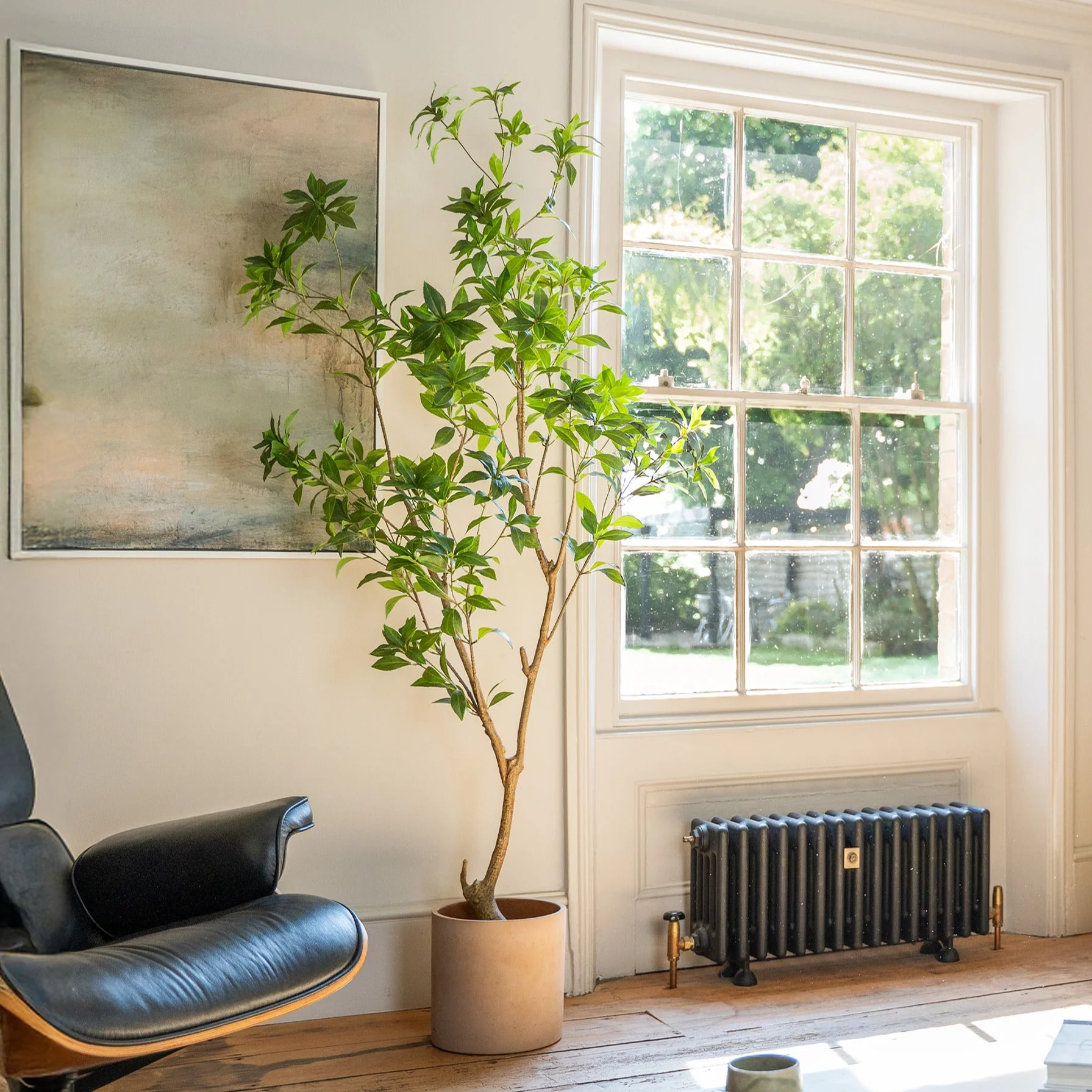 Tea leaf tree