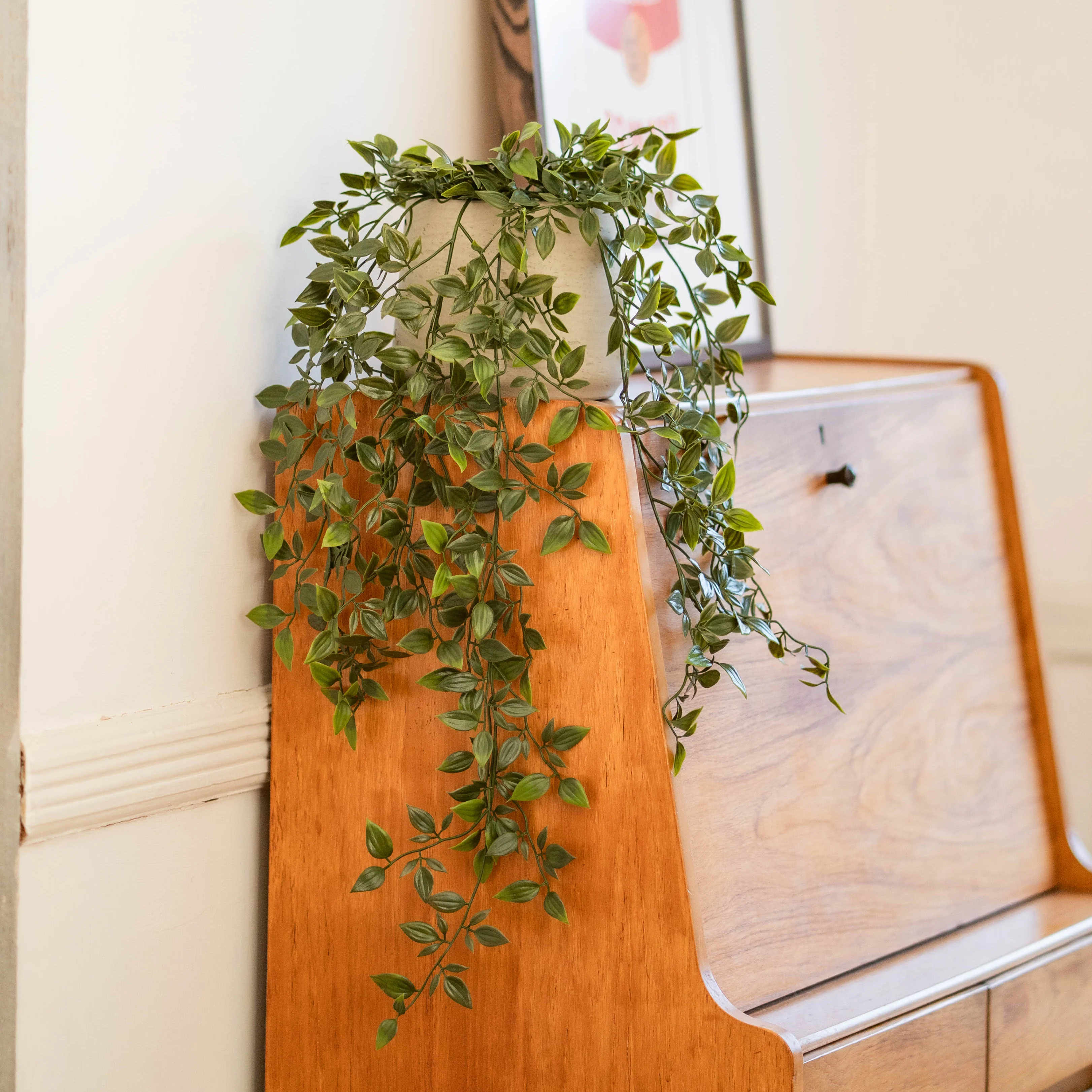 Trailing foliage