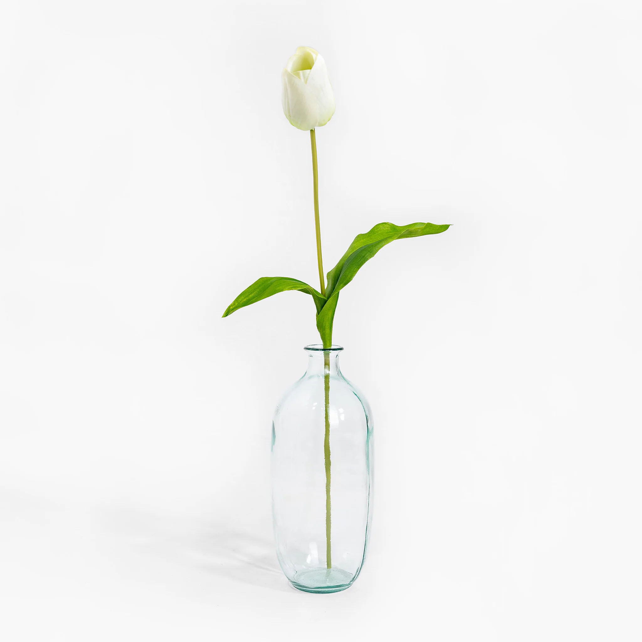 Tulip stem - Image 4