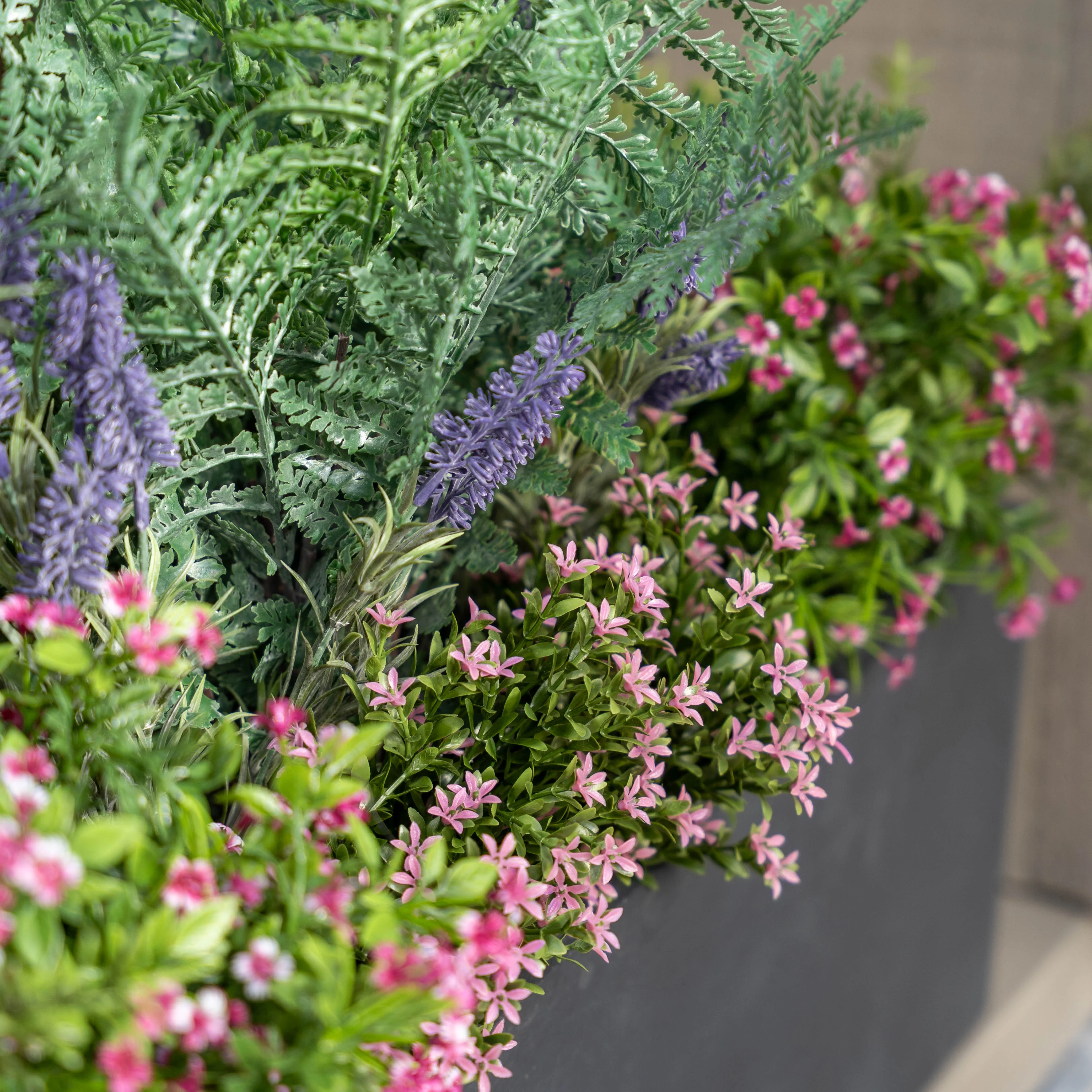 Urban garden window box - Image 4