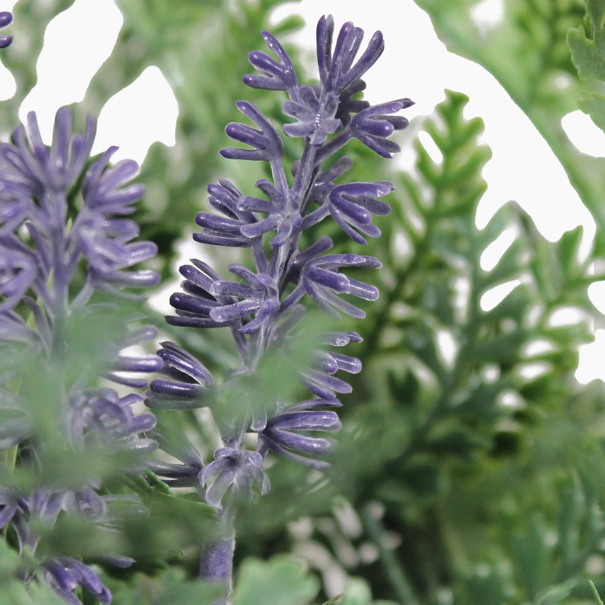 Urban garden window box - Image 7