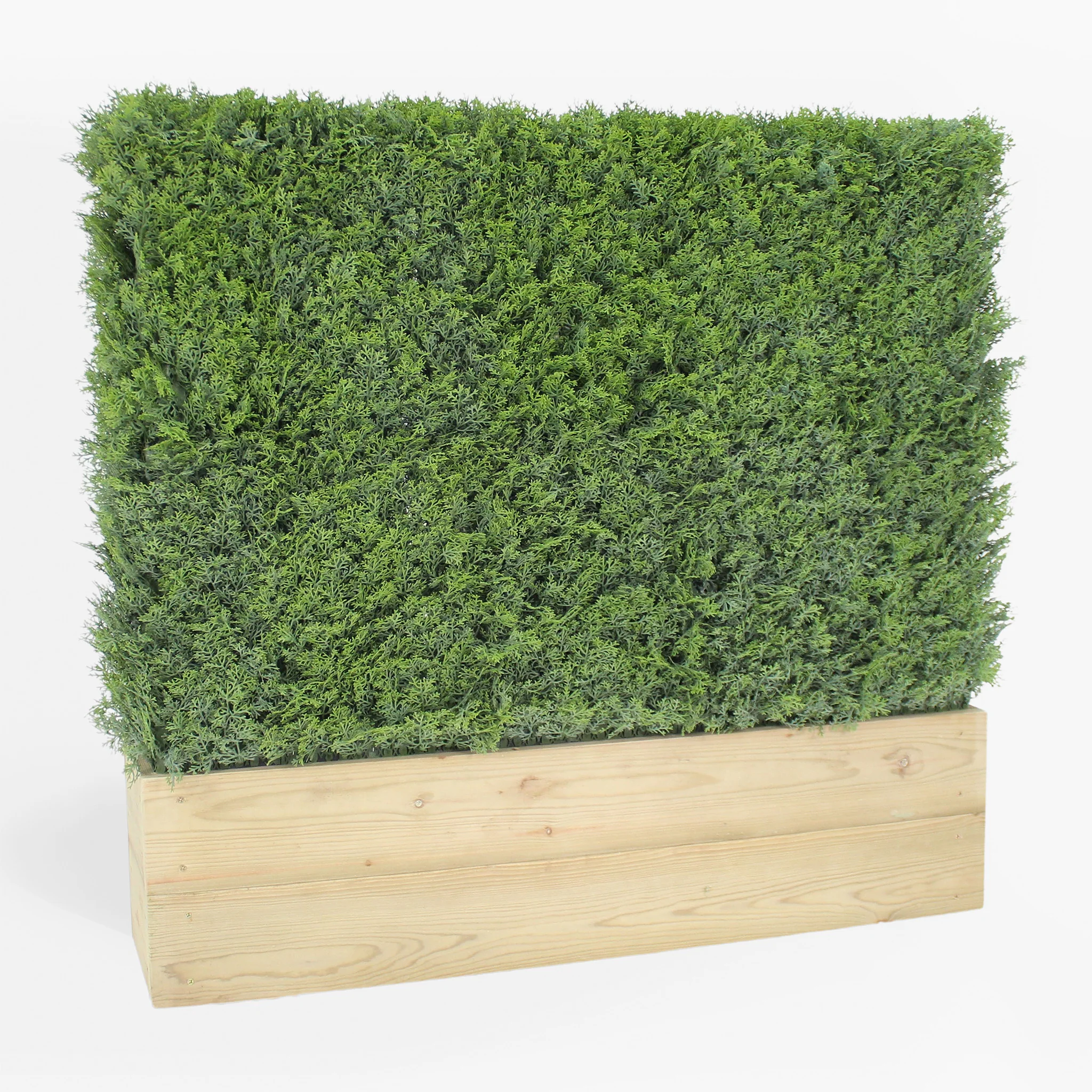 Cedar hedge - 1m long - Image 3