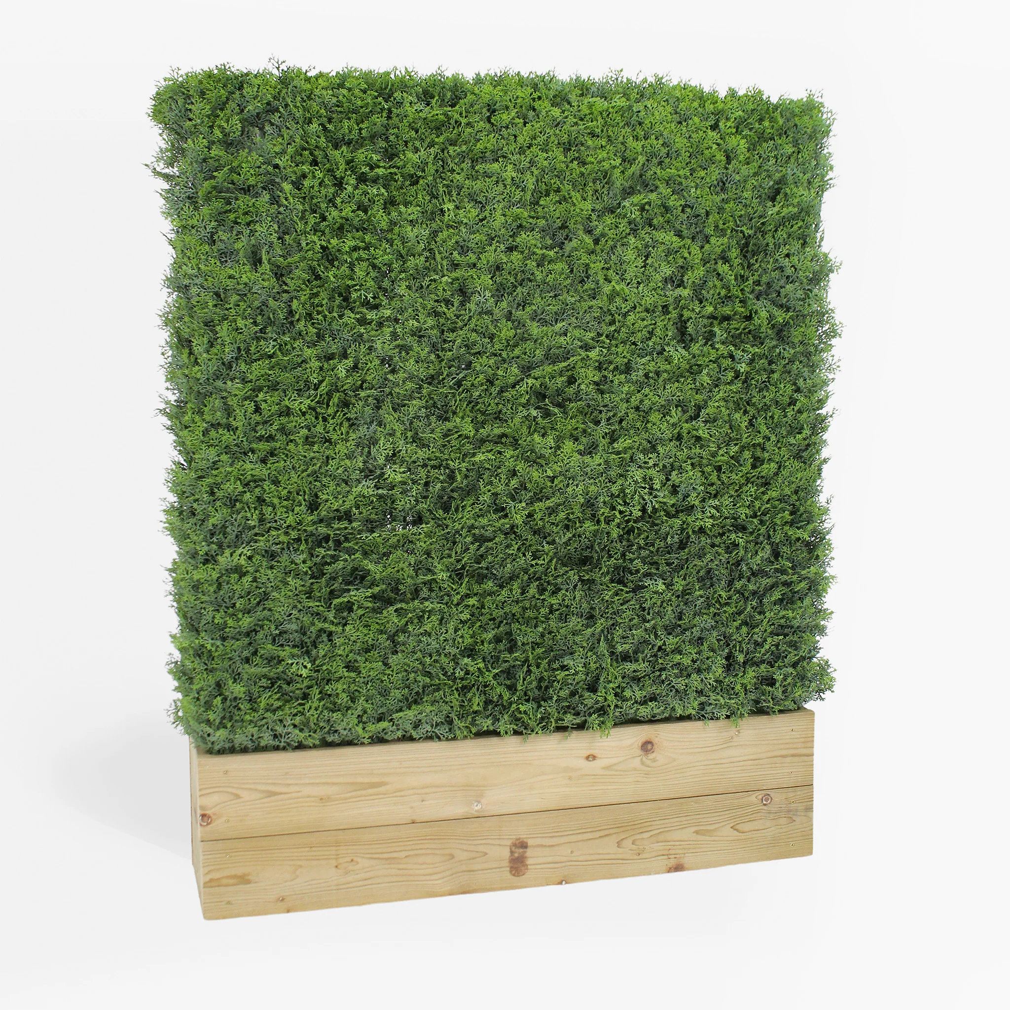 Cedar hedge - 1m long - Image 5