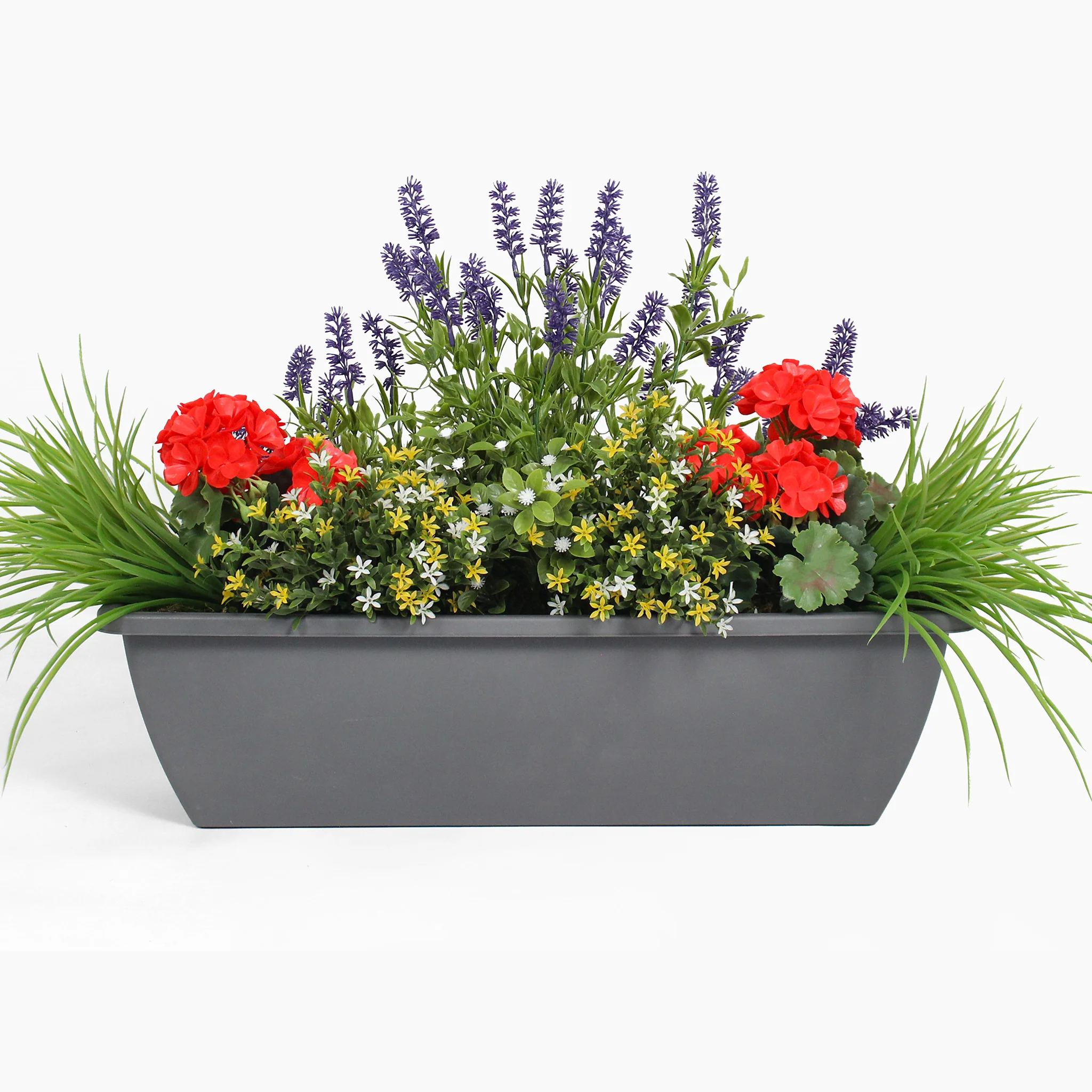Colour burst window box - Image 3