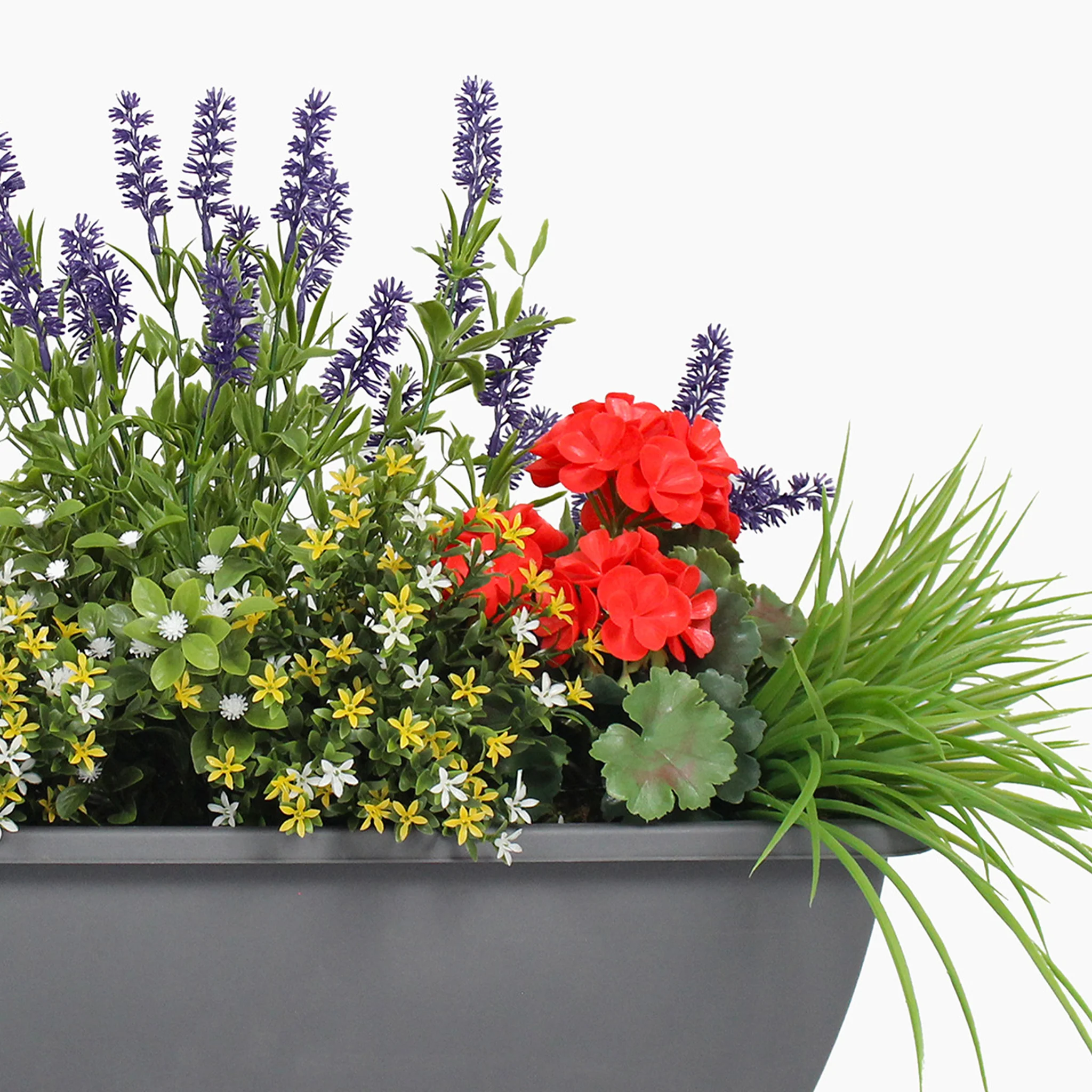 Colour burst window box - Image 4