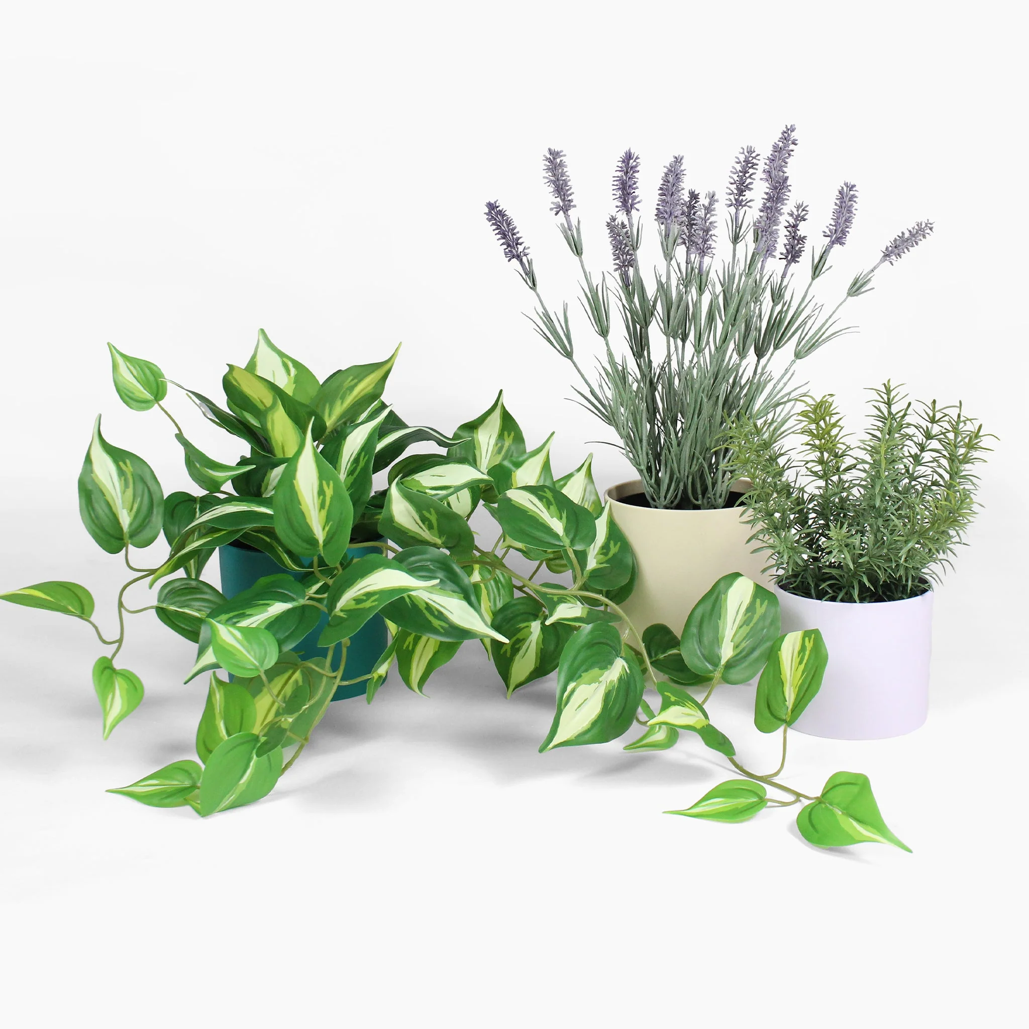 Small plant pack